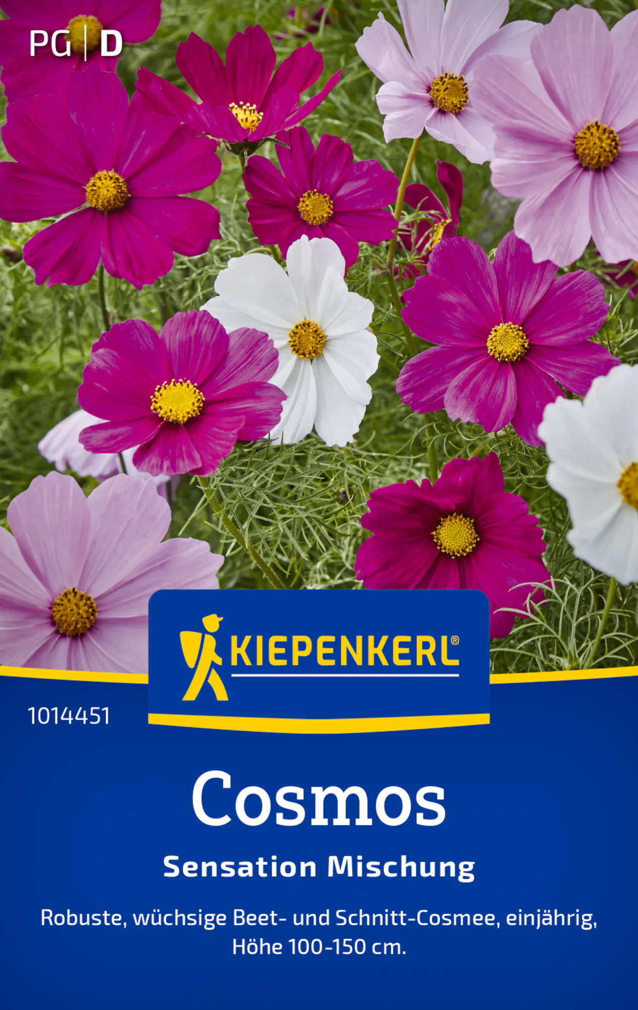Kiepenkerl Blumensamen Cosmos Sensation Mischung für ca. 40 Pflanzen