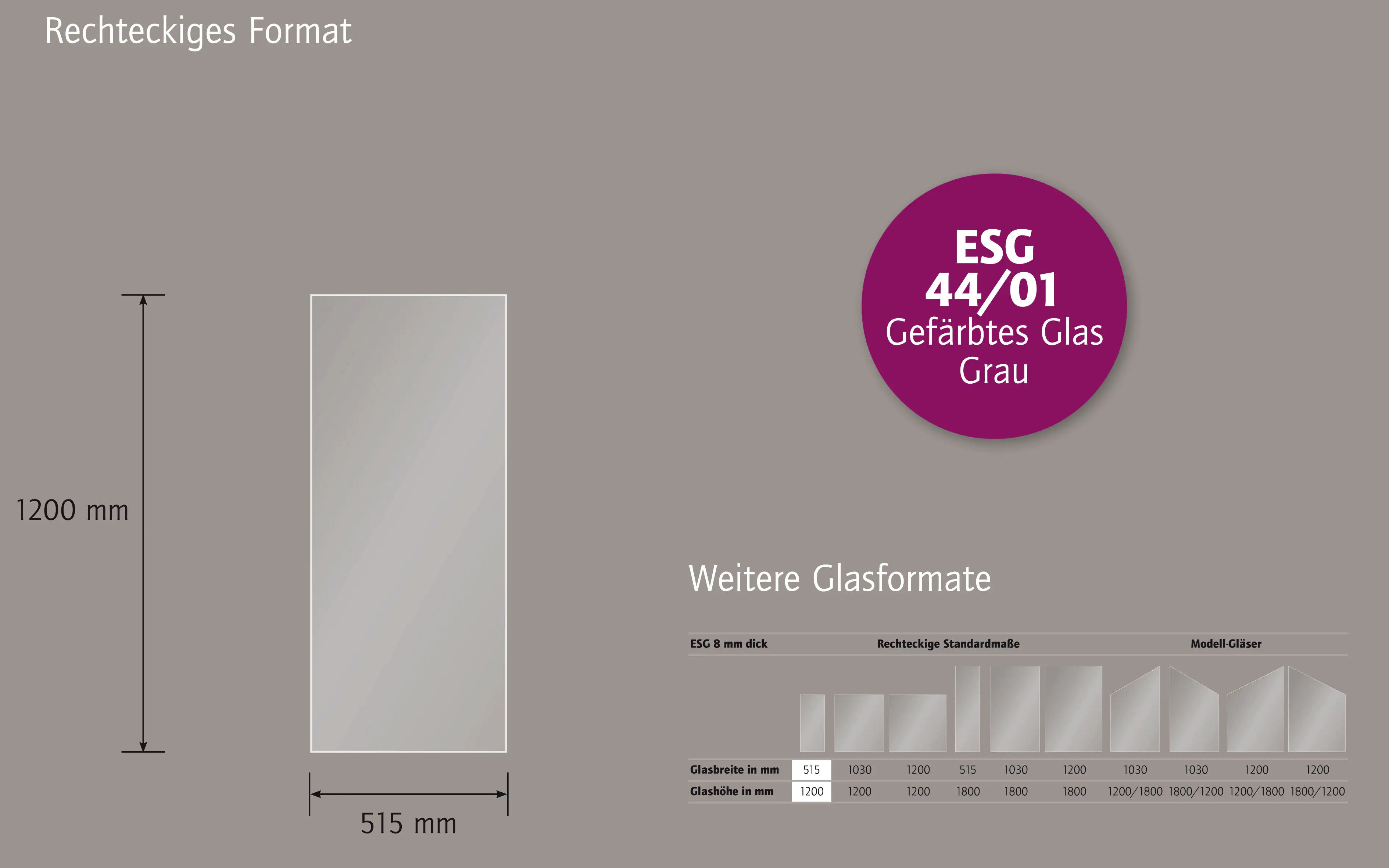 Ambiente Glaszaun B x H: 51,5 cm x 120 cm, gehärtetes 8 mm Glas Ambiente Glaszaun B x H: 51,5 cm x 120 cm, gehärtetes 8 mm Glas