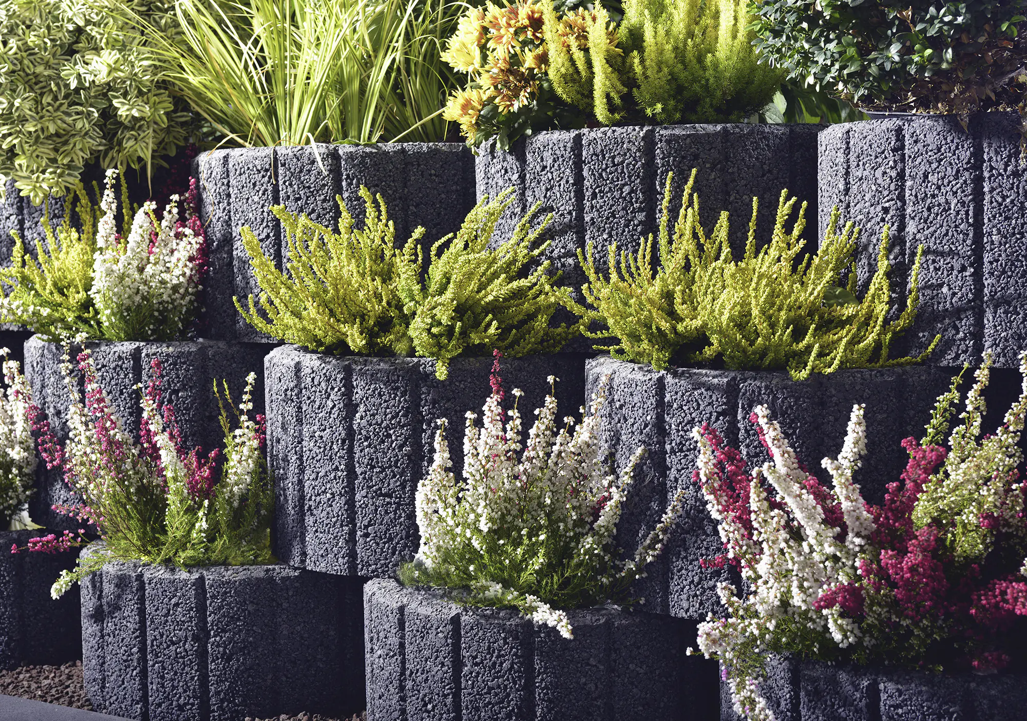 Kann Pflanzstein Groß 48 x 38 x 25 cm anthrazit