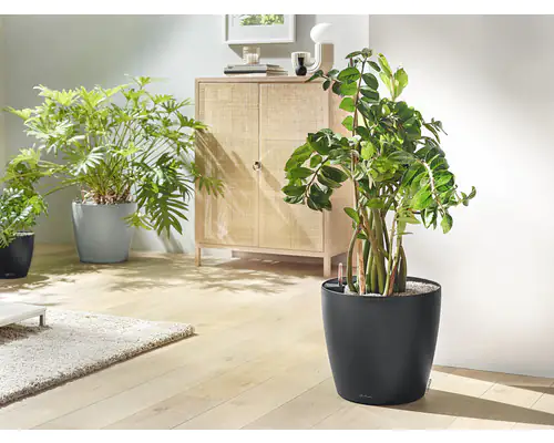 Lechuza Pflanztopf Classico Eco 35 cm Kunststoff dunkelgrau