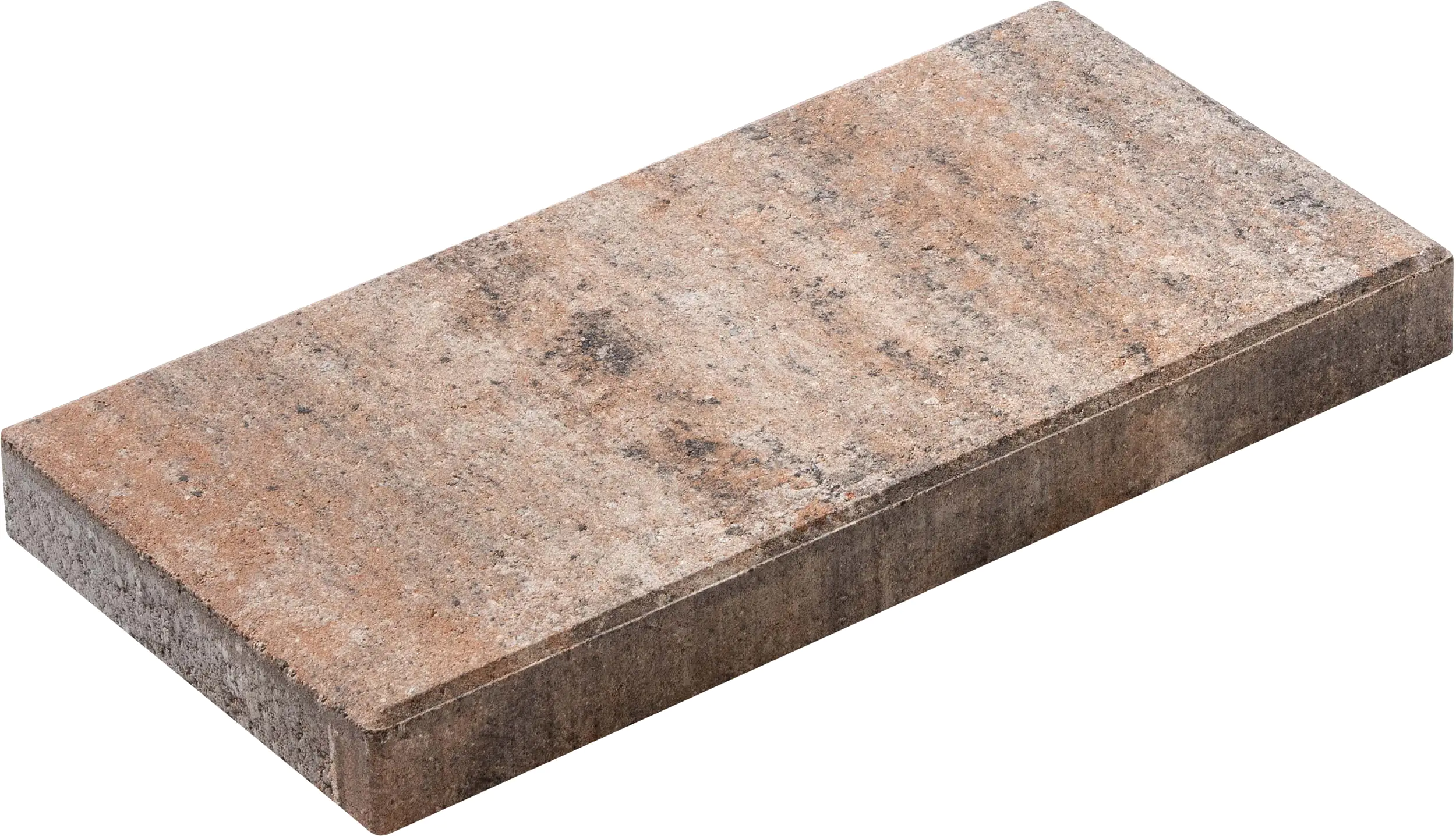 Diephaus Terrassenplatte Clever 40 x 20 x 4 cm muschelkalk kaufen