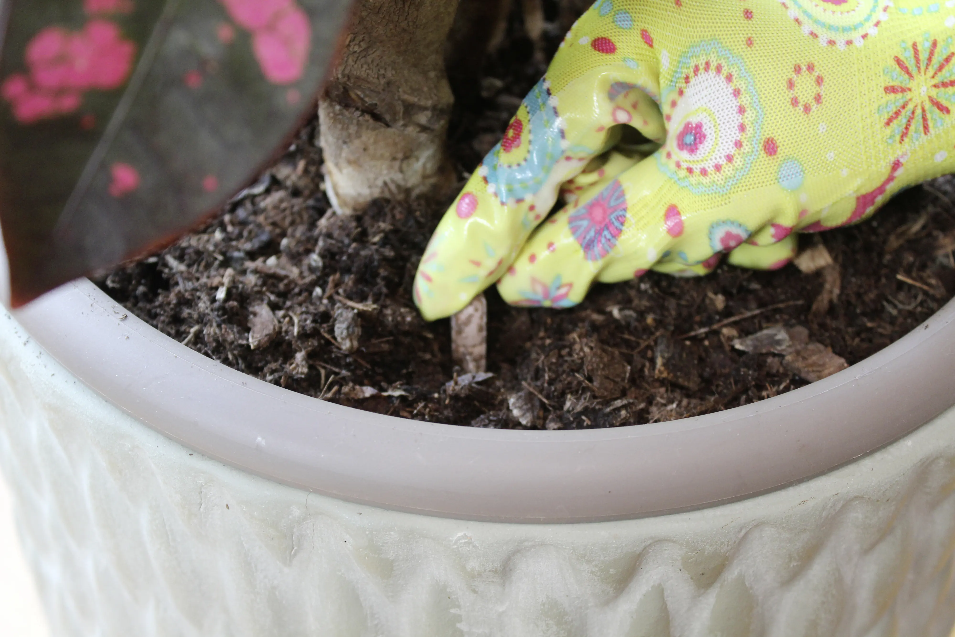 Protect Garden Lizetan Plus Combistäbchen 2 in 1 10 Stück