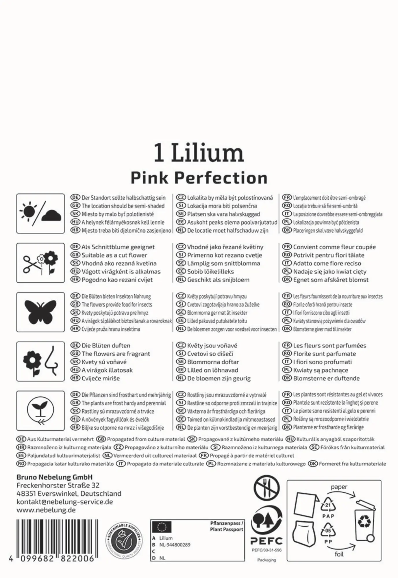 Kiepenkerl Frühjahrsblumenzwiebel Trompeten-Lilie Pink Perfektion 1 Stück