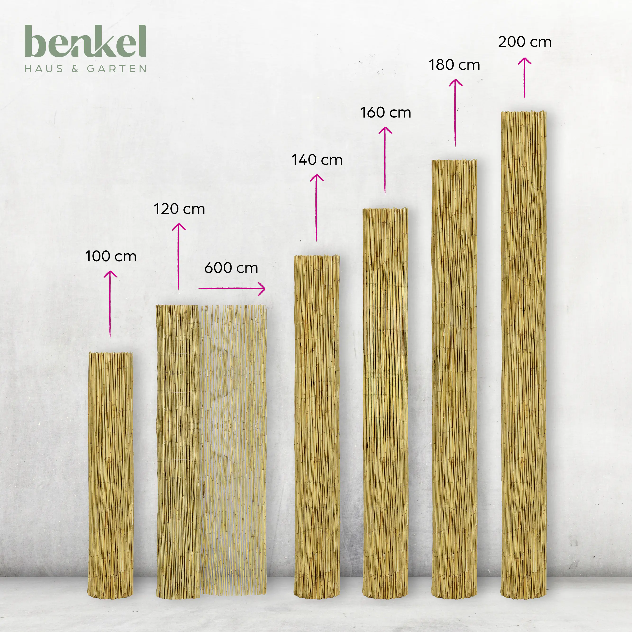 Schilfrohrmatte 6 x 1,2 m