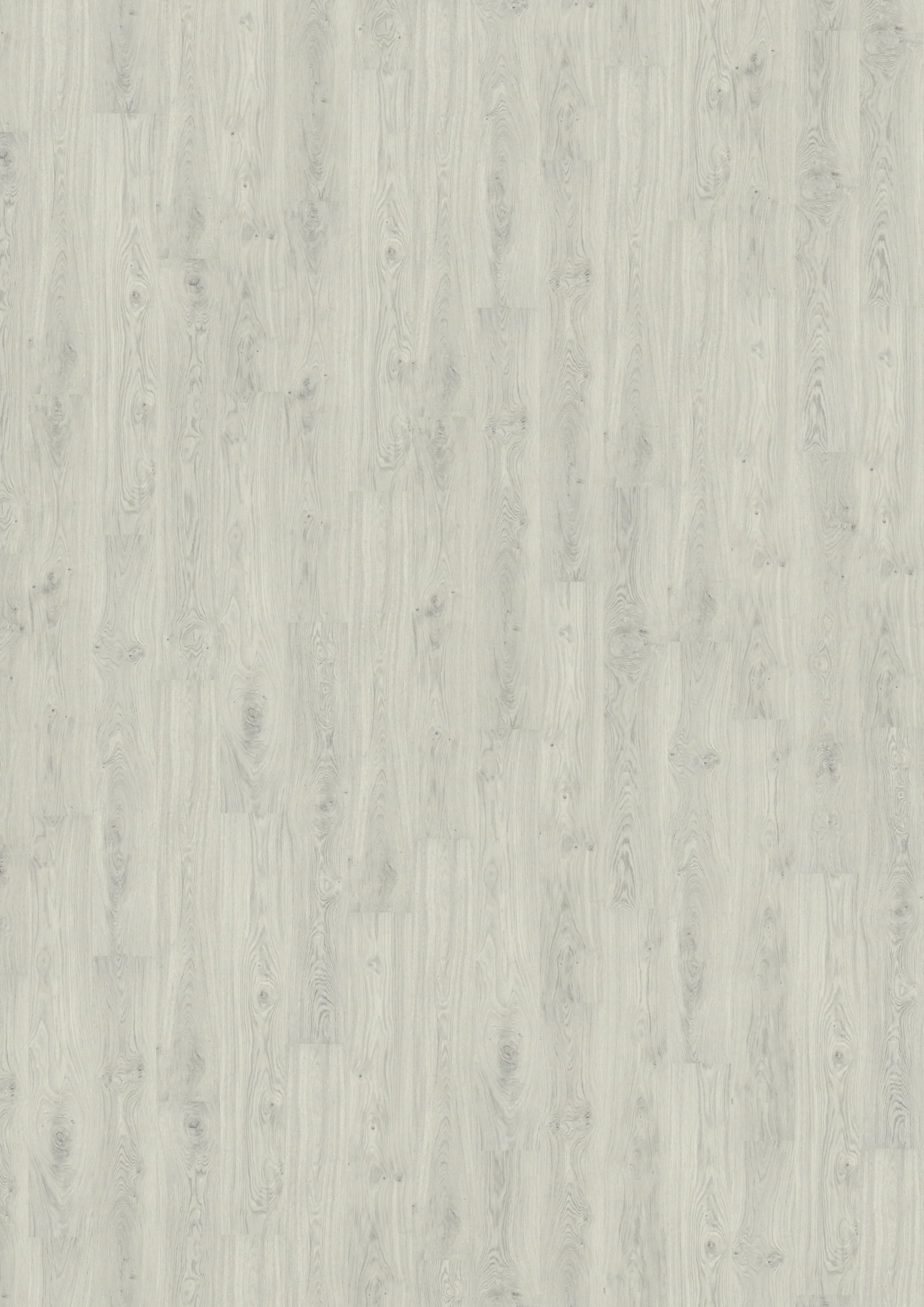 Decolife Vinylboden mit Trittschalldämmung Freestyle AccesOak Silver