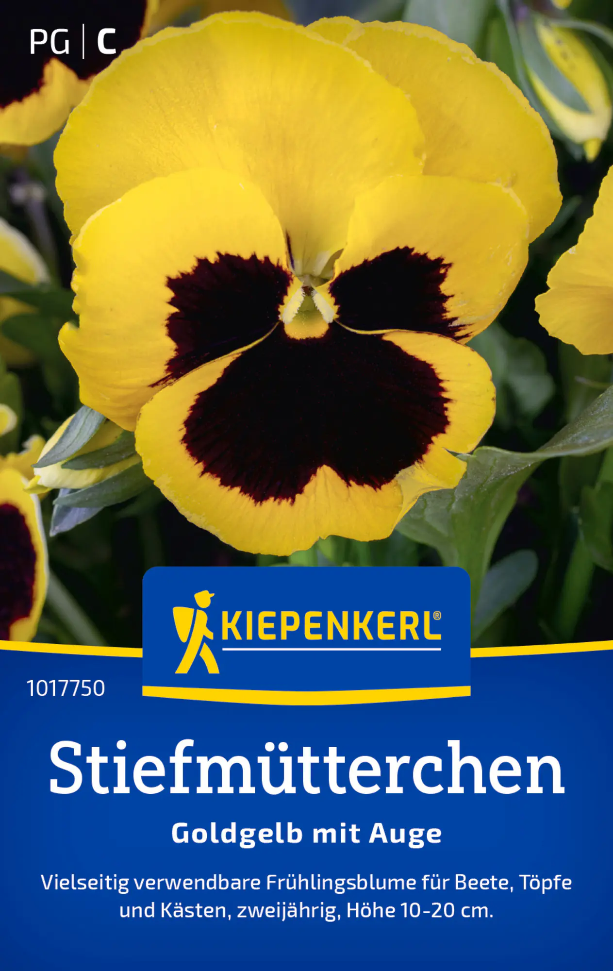 Kiepenkerl Blumensamen Stiefmütterchen Goldgelb mit Auge für ca. 60 Pflanzen