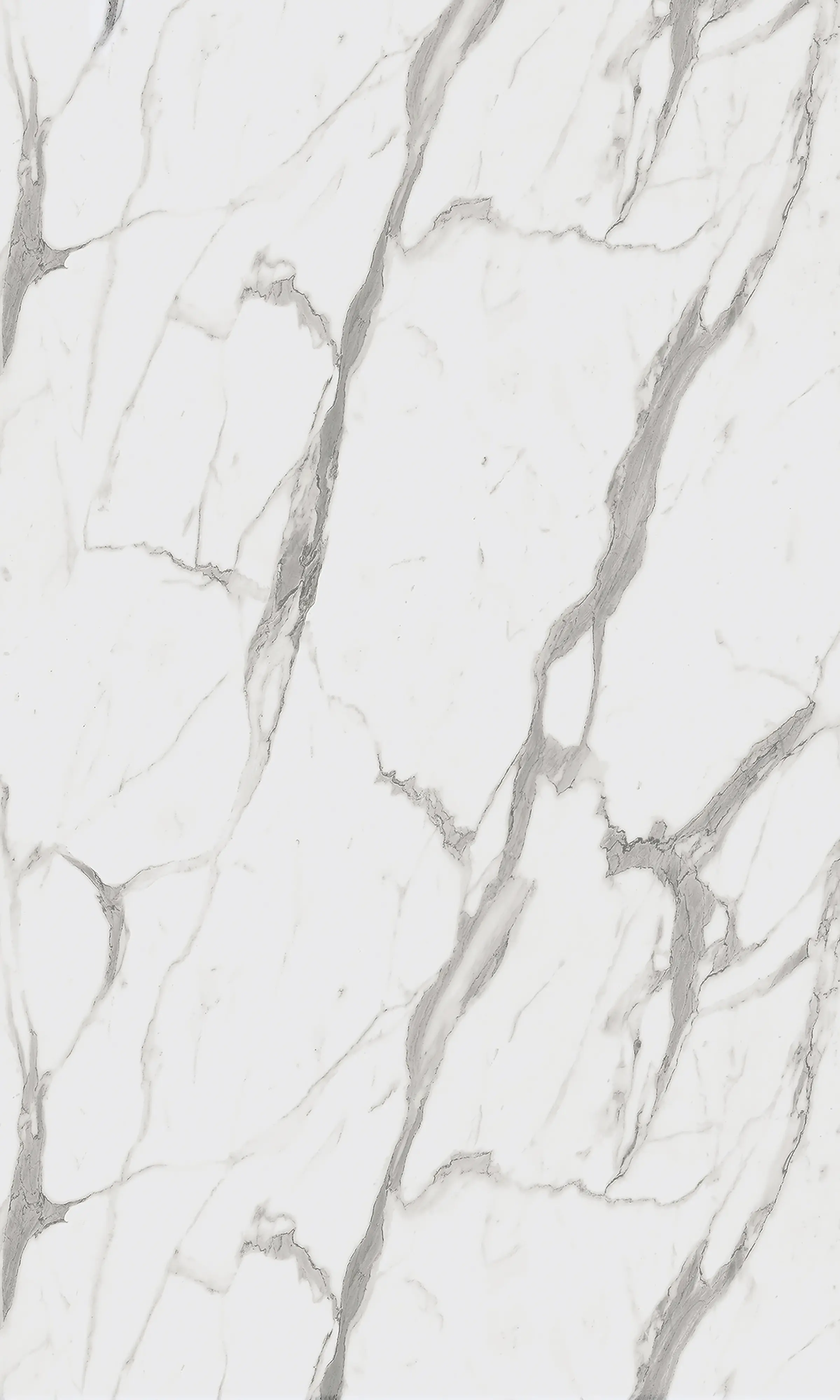 Wetwall Elite Duschrückwand Calacatta Statuario 60 x 260 cm mit Nut & Feder