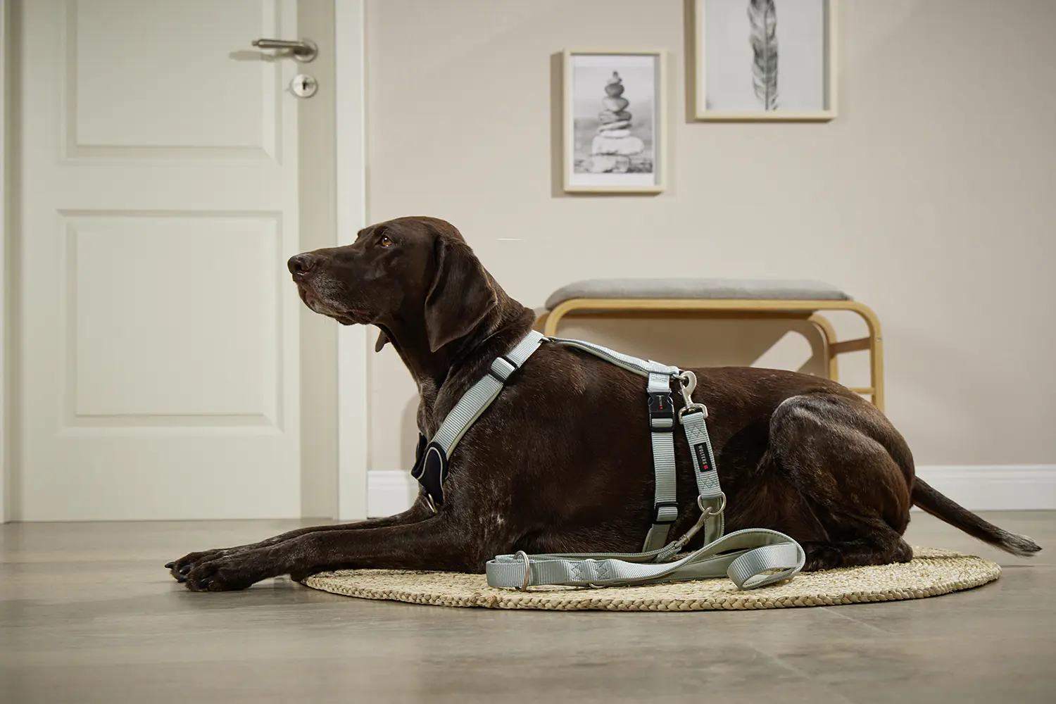 Wolters Hundeleine Professional Comfort salbei grün