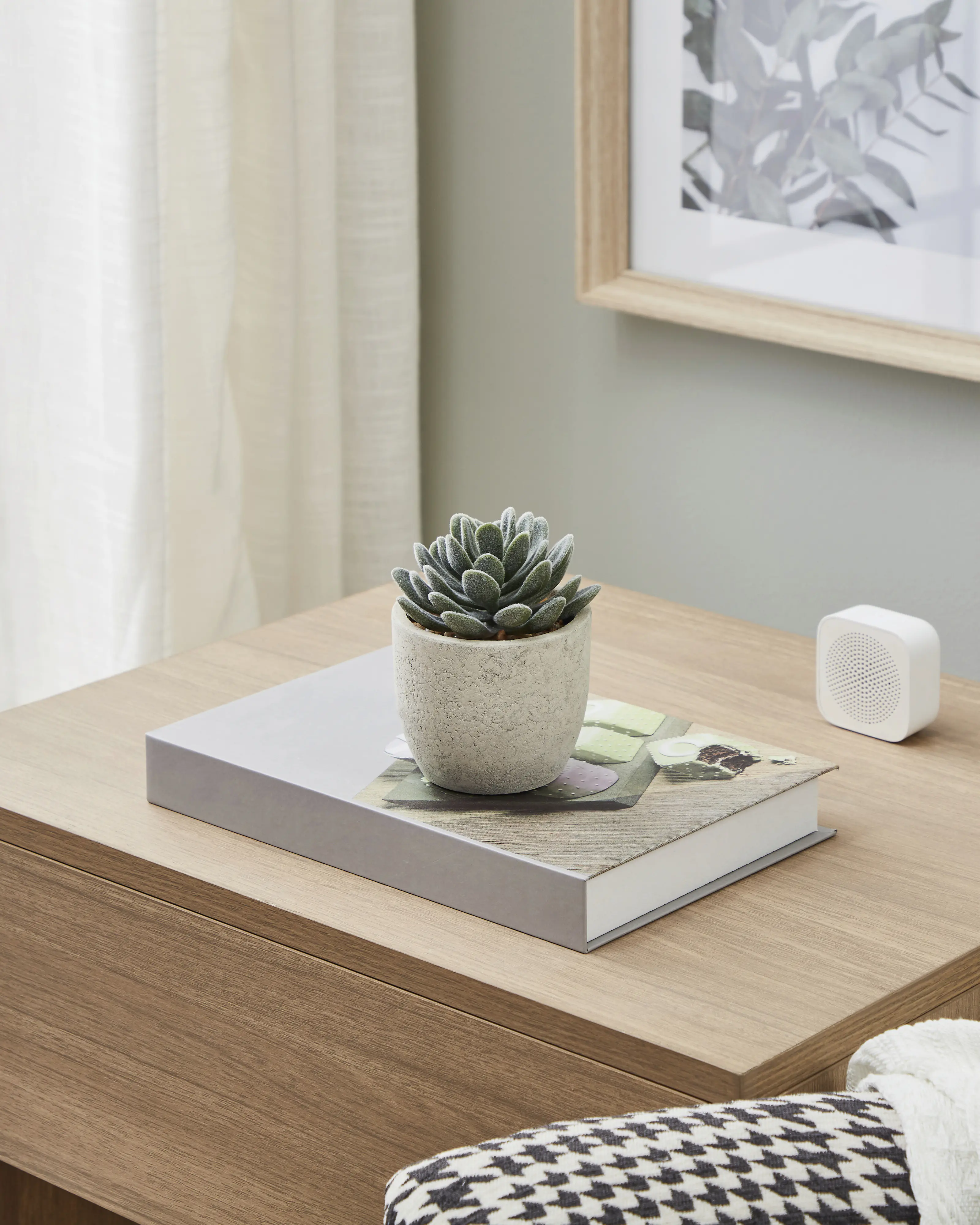 Eglo Kunstpflanze Sukkulente Chitose im Topf grün 11 x 8 cm