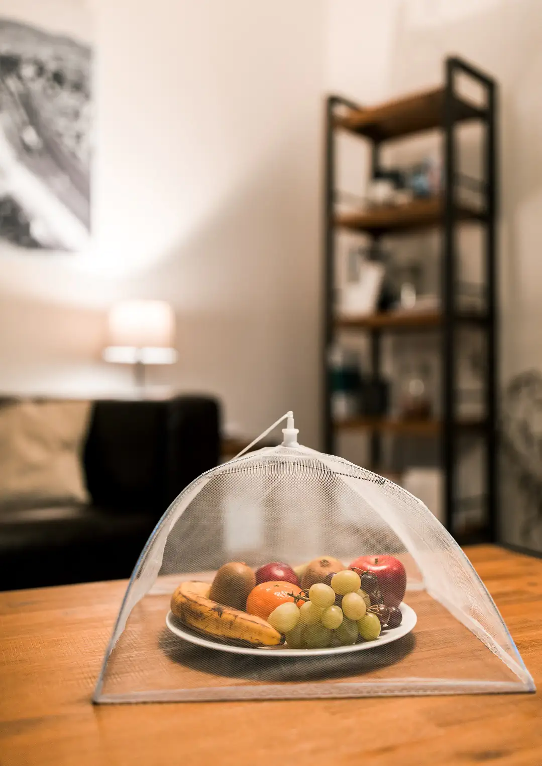 Schellenberg Abdeckhaube für Lebensmittel weiß