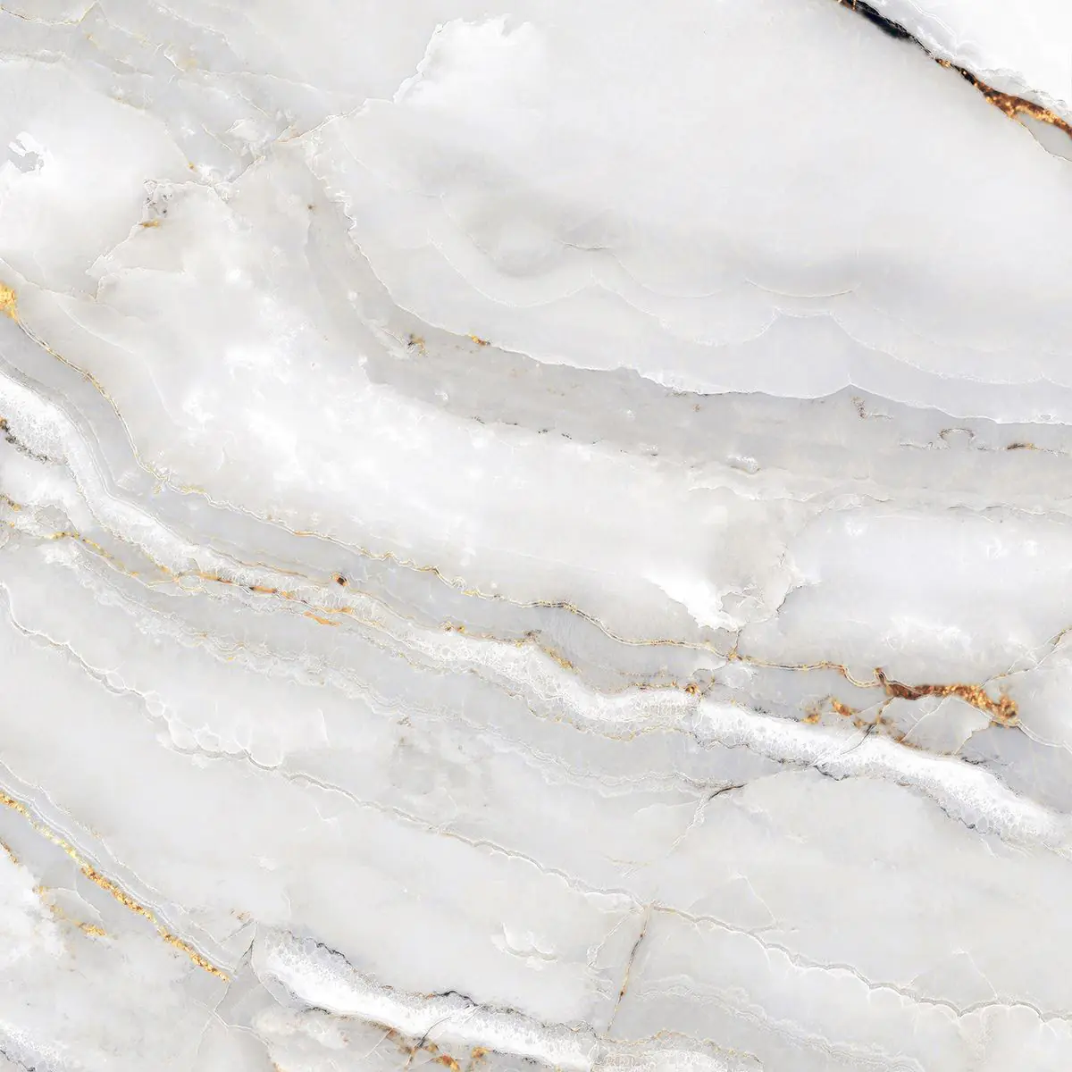 Bodenfliese Feinsteinzeug Alabaster Cleo Light 60 x 60 cm weiß/gold