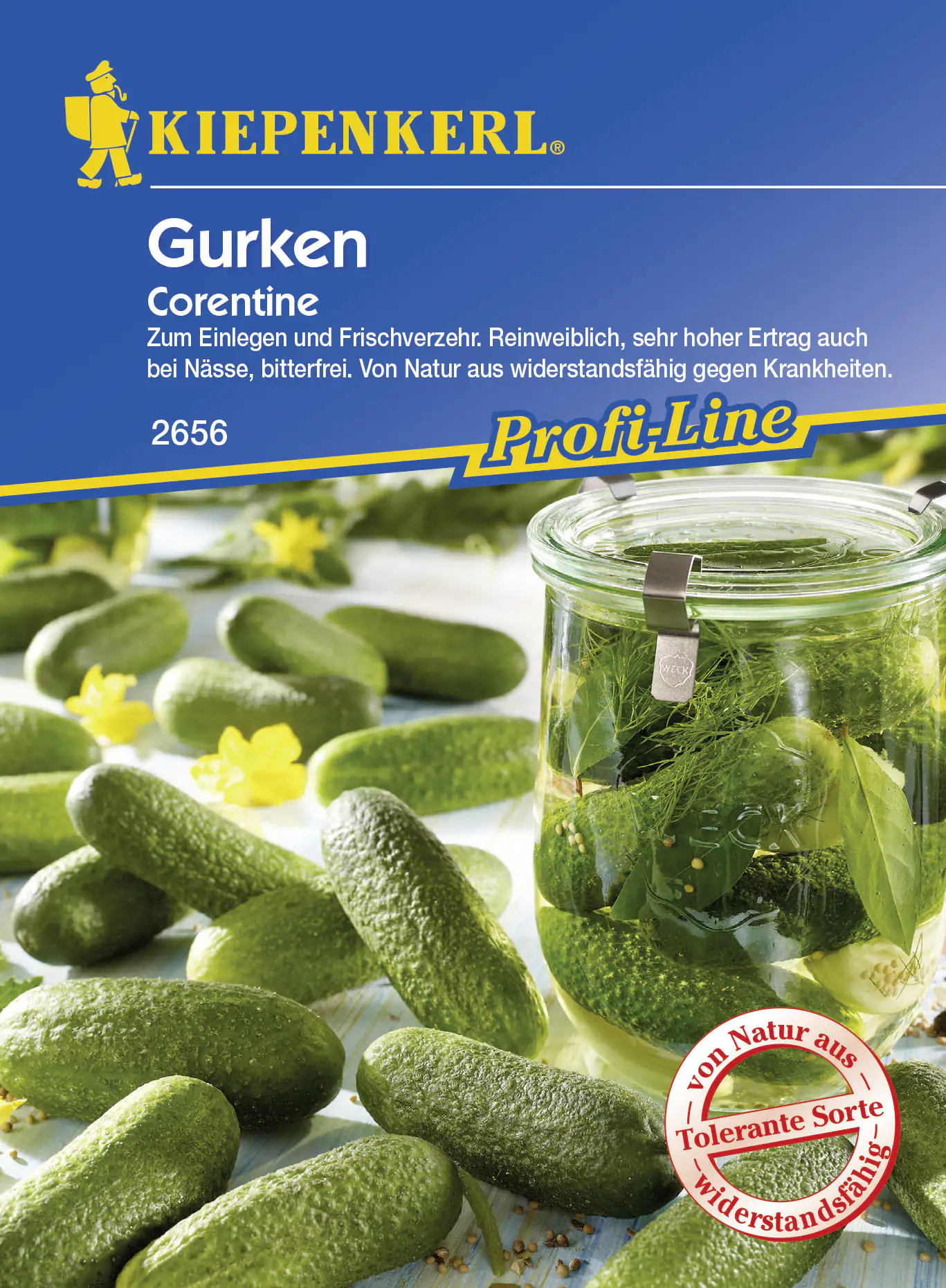 Kiepenkerl Einlegegurke Corentine Cucumis sativus, Inhalt: 25 Korn