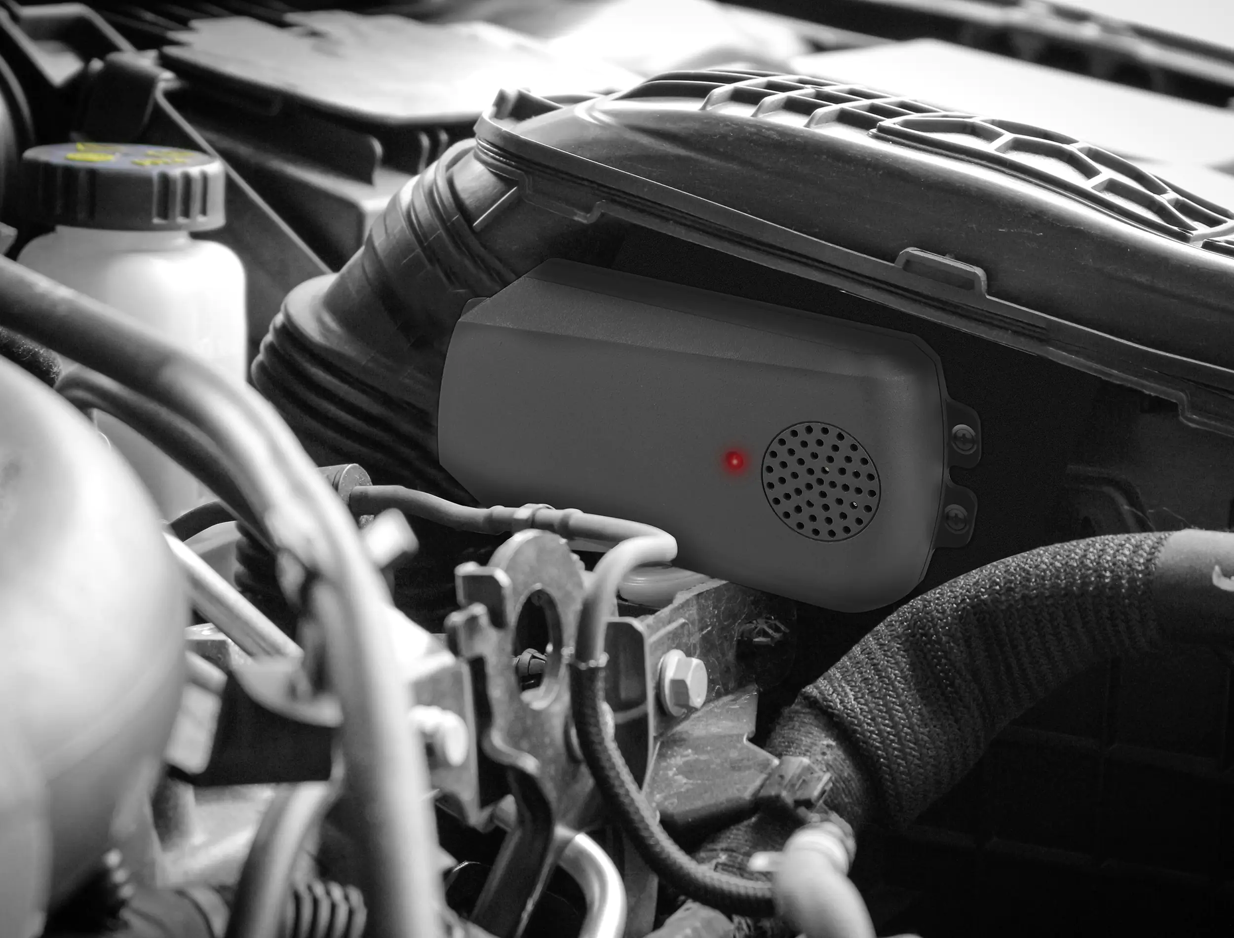 LAS Marder-Abwehrgerät mit Ultraschall 95dB 3V DC batteriebetrieben