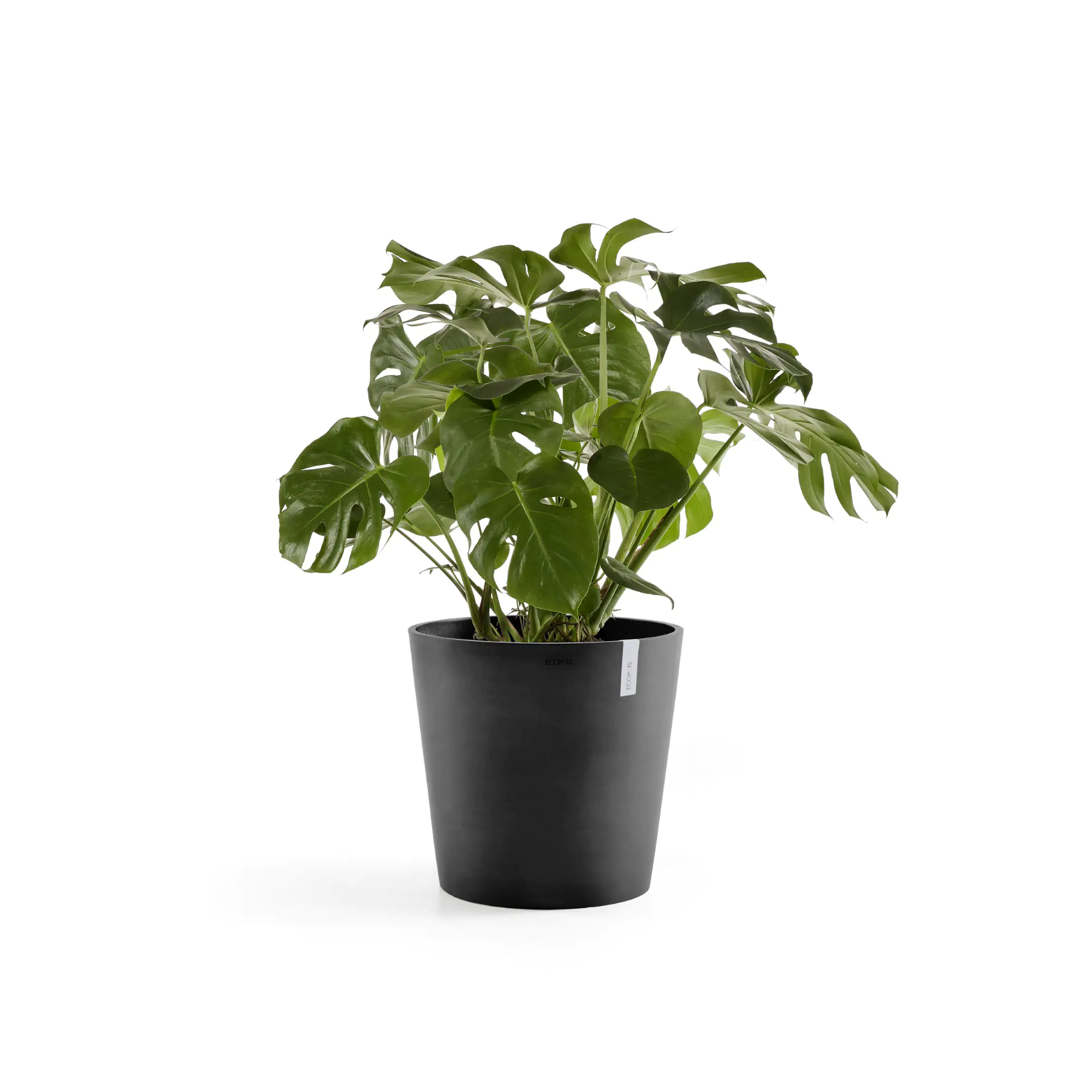 Ecopots Pflanztopf Amsterdam Ø 59 x 54,8 cm dunkelgrau Ecopots Pflanztopf Amsterdam Ø 59 x 54,8 cm dunkelgrau