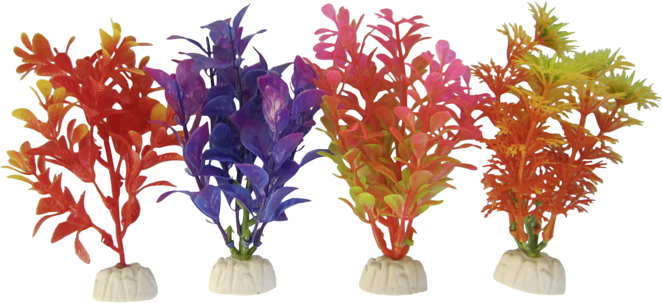 Orbit Aquapflanze bunt Standard small