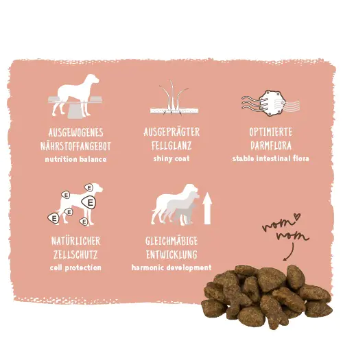Bosch Trockenfutter für Hunde Adult 15 kg mit Lachs & Kartoffel Bosch Trockenfutter für Hunde Adult 15 kg mit Lachs & Kartoffel