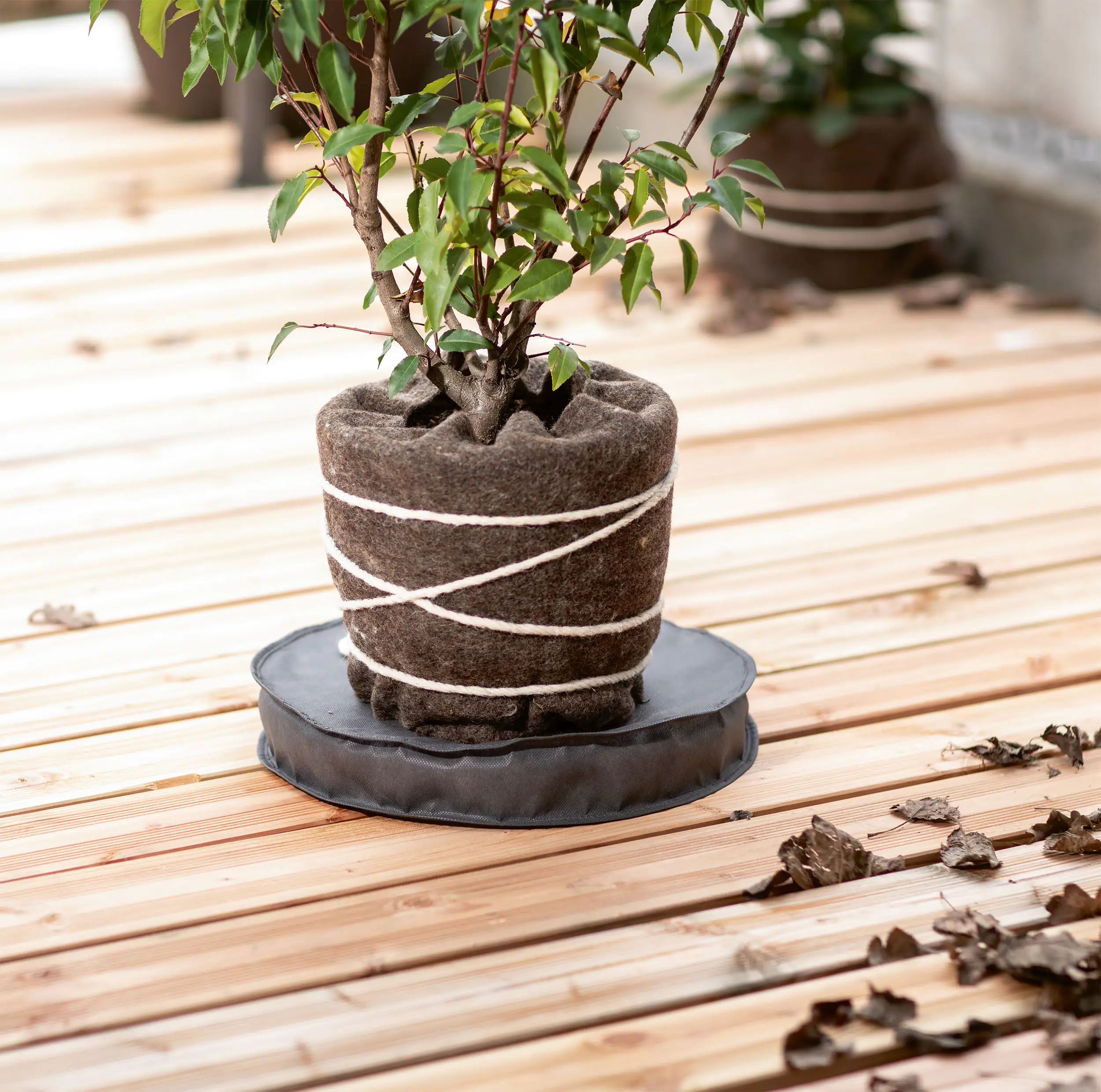 9003117075665_2 Windhager Kälteschutz Topfuntersetzer Ø 55 cm