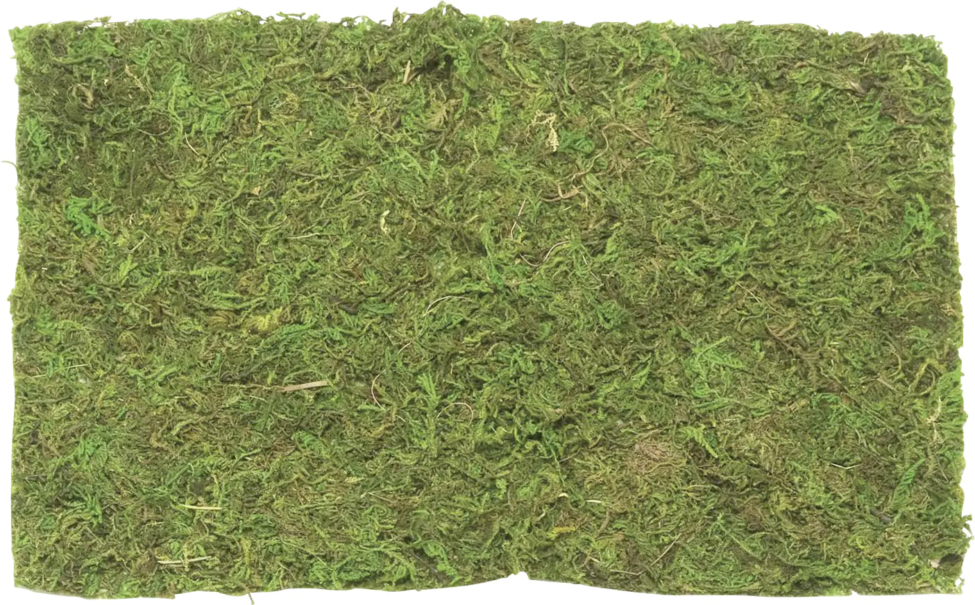 Glorex Plattenmoos 30 g Beutel