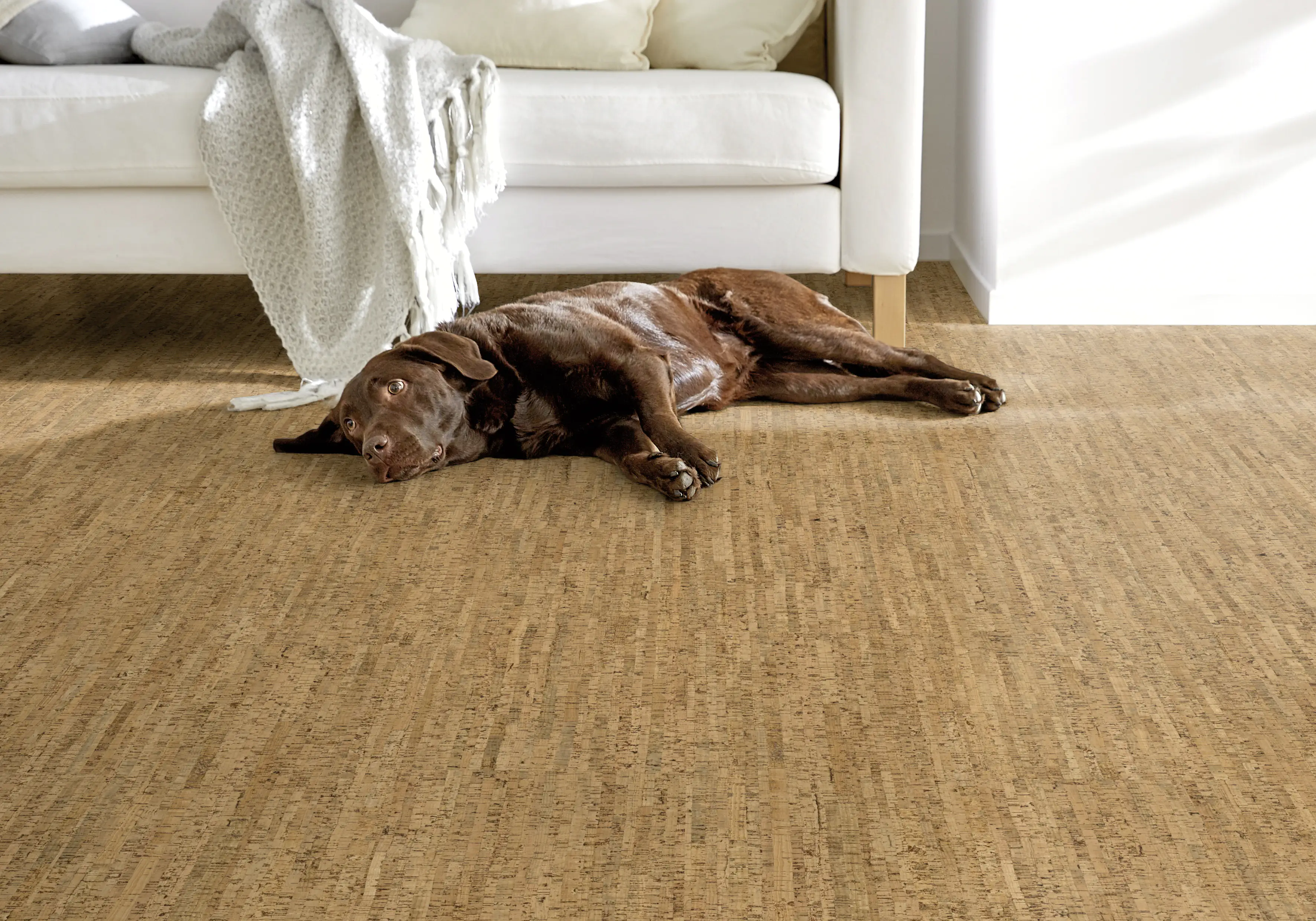 Corklife Korkboden Studiostyle Sagres