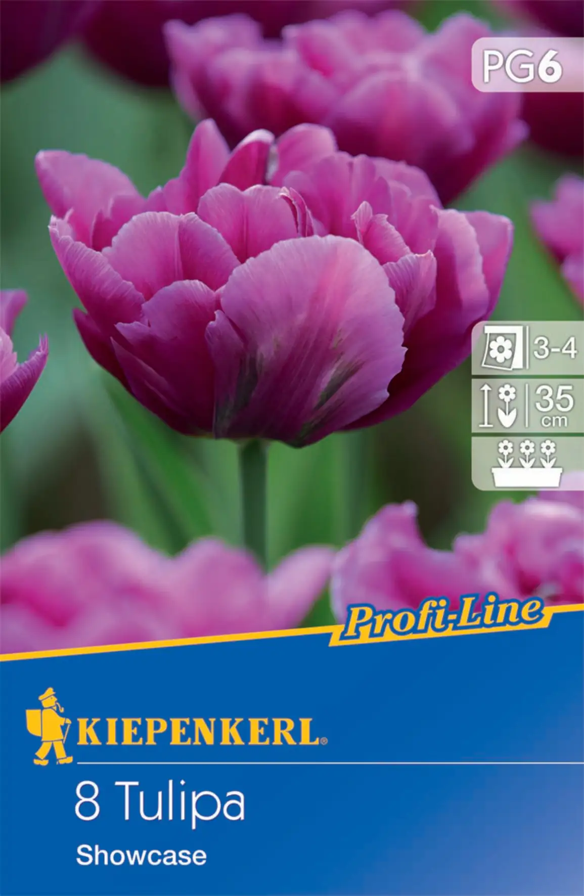 Kiepenkerl Blumenzwiebel Profi-Line Gefüllte frühe Tulpe Showcase