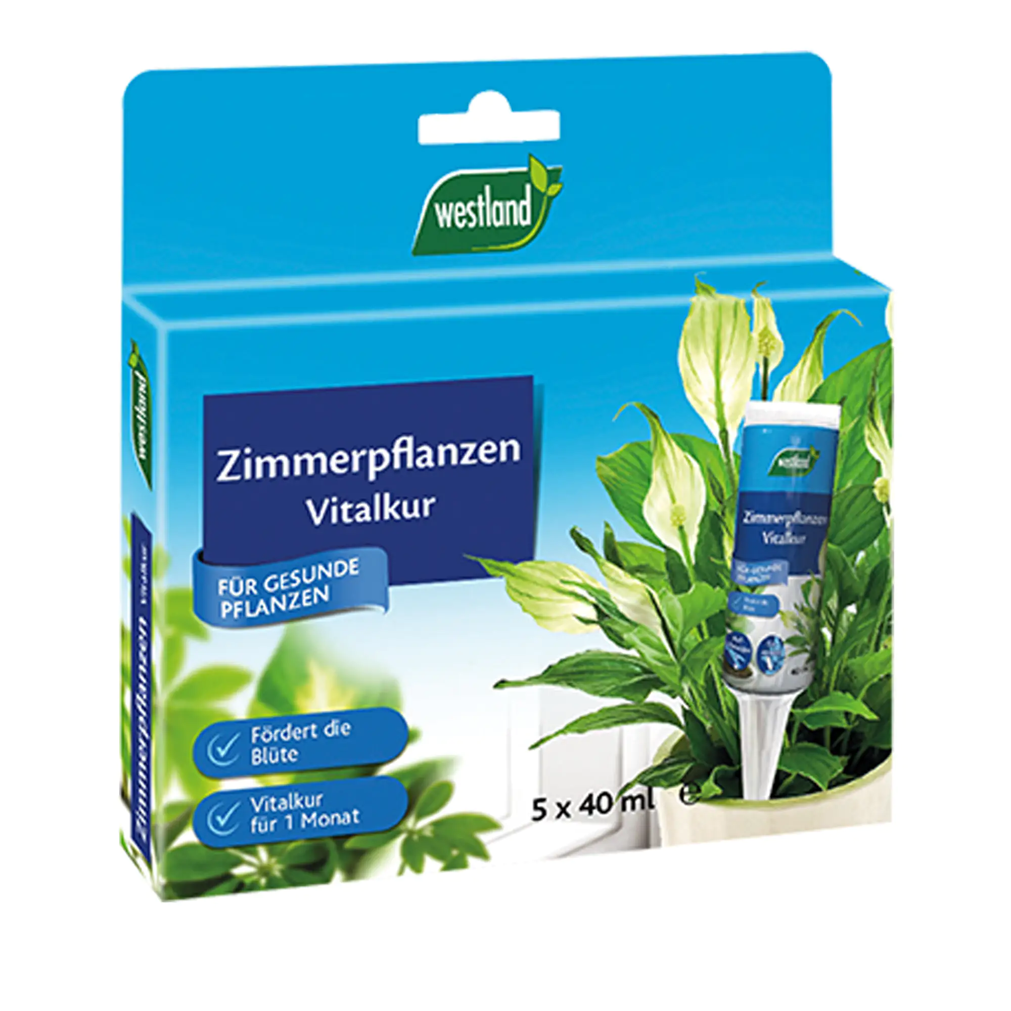 Westland Zimmerpflanzen Vitalkur Set 5x40 ml Westland Zimmerpflanzen Vitalkur Set 5x40 ml