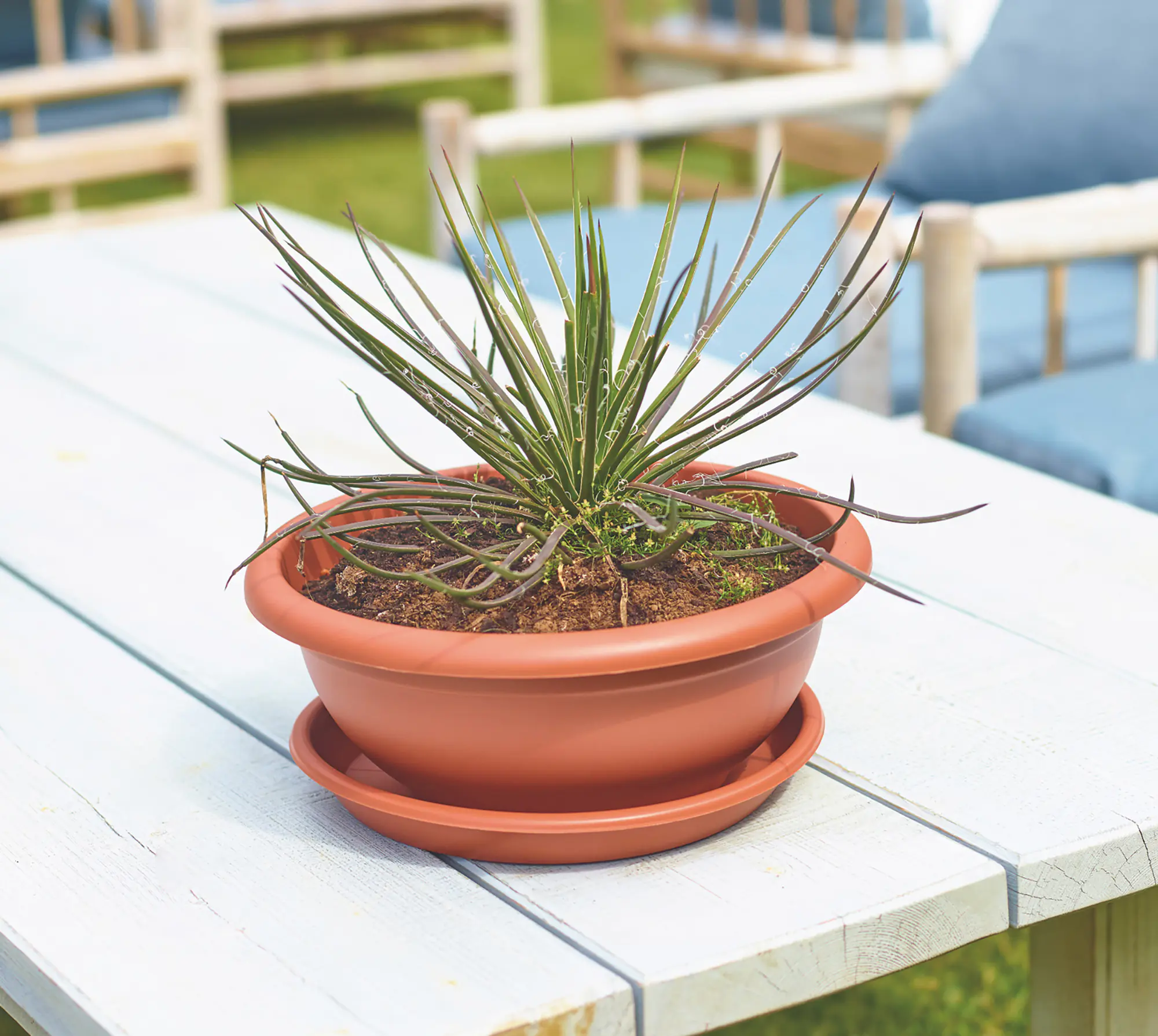 Artevasi Blumentopfuntersetzer Redondo Kunststoff rund terrakotta matt Ø 26 cm