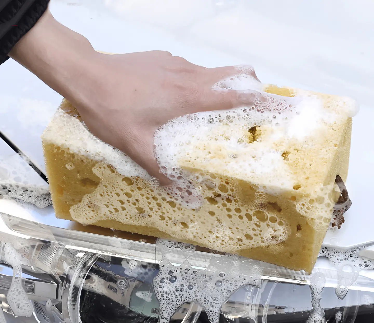 TrendLine Autoschwamm 20 x 13 x 7 cm