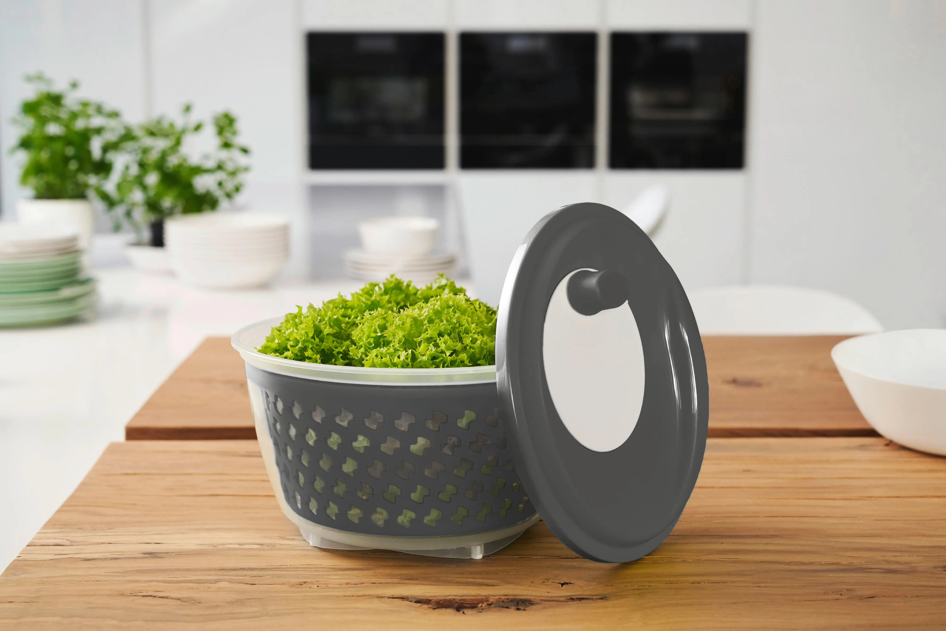 Rotho Salatschleuder Fresh 4,5 L schwarz