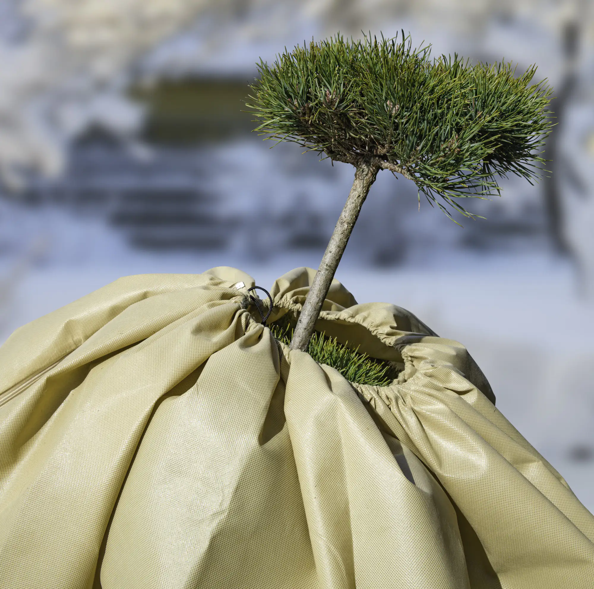 Windhager Vliesmantel Super-Protect XL 1,9 x 2,4 m, beige