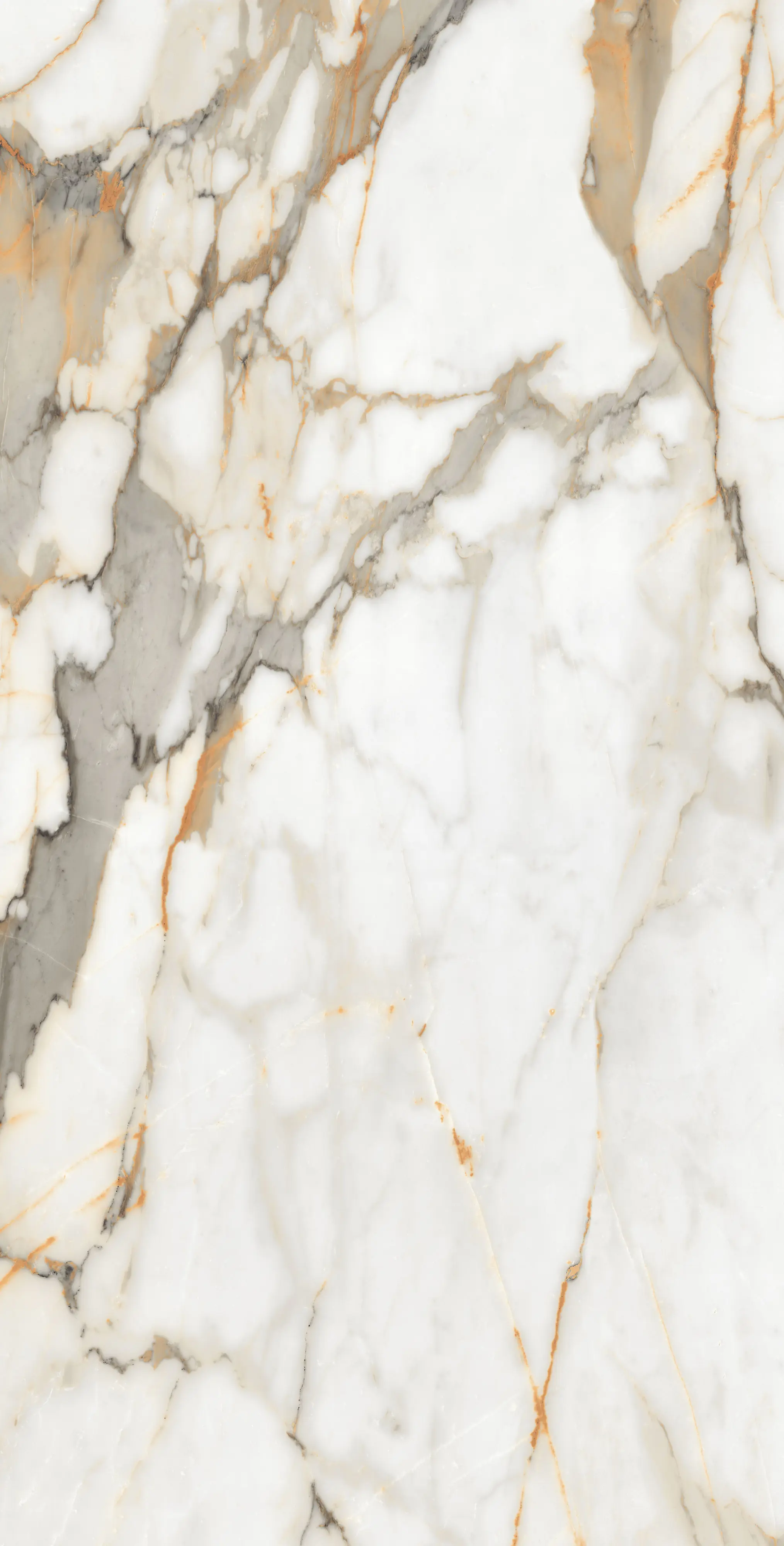 Bodenfliese Feinsteinzeug Visage Gold Plus 60 x 120 cm weiß