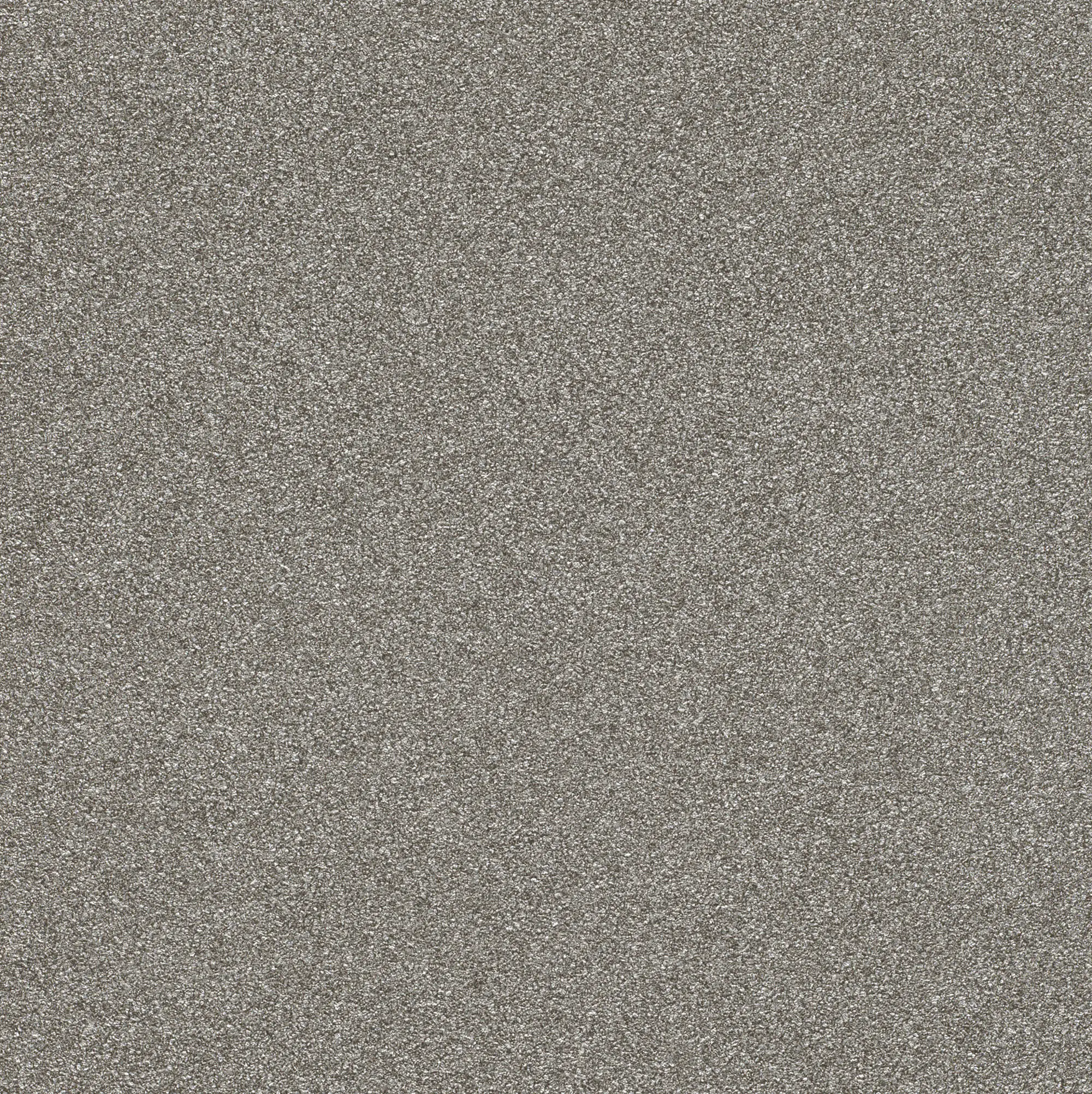 4000441606690 Rasch Vliestapete 606690 Passepartout silber / schwarz 10,05 x 0,53 m