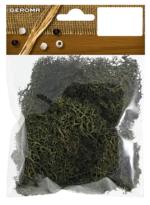 Islandmoos grün 25 Gramm