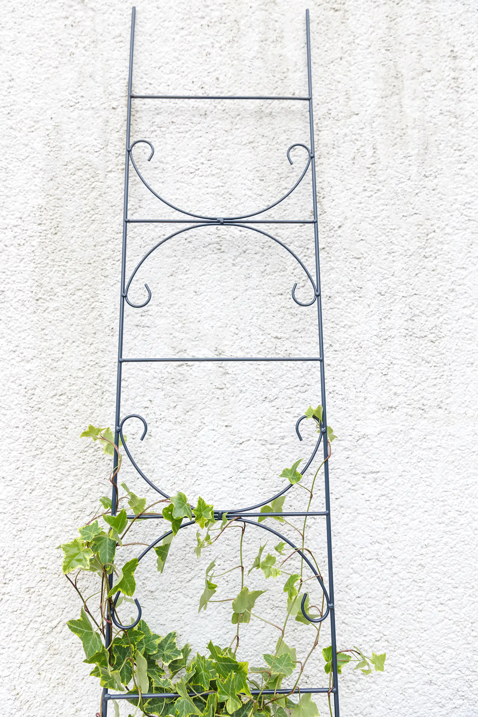 TrendLine Spalier Metall 150 cm dunkelgrau TrendLine Spalier Metall 150 cm dunkelgrau