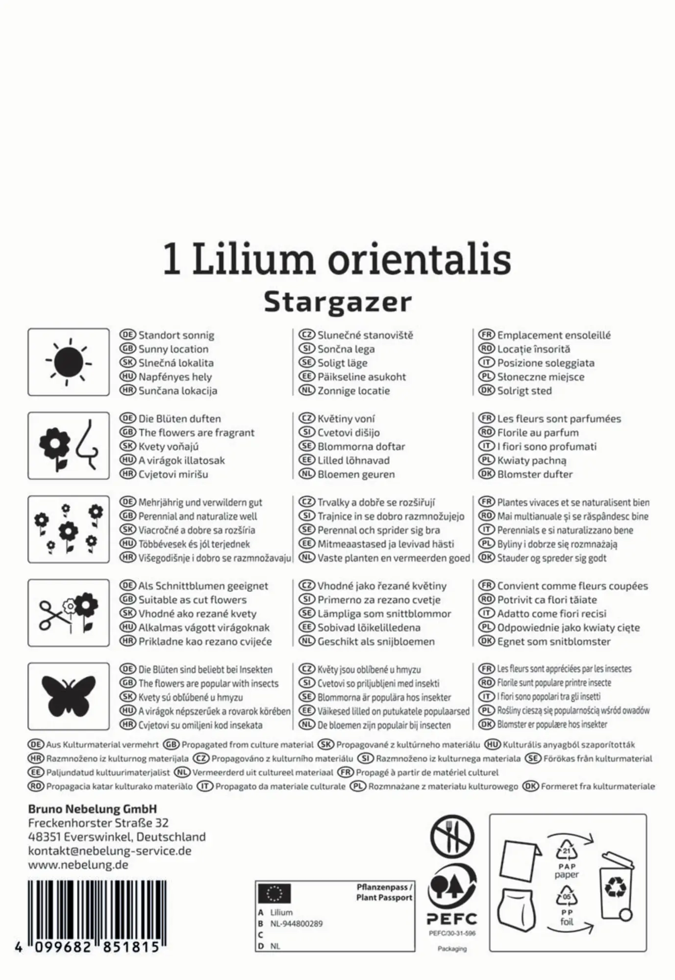 Kiepenkerl Herbstblumenzwiebel Oriental-Lilie Stargazer 1 Stück