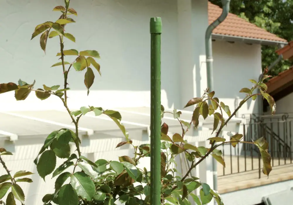 Floraworld StahlrohrPflanzstab grün 300 cm kaufen Globus Baumarkt
