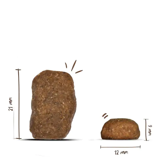 Bosch Trockenfutter für große Hunde Maxi Junior 1 kg Bosch Trockenfutter für große Hunde Maxi Junior 1 kg