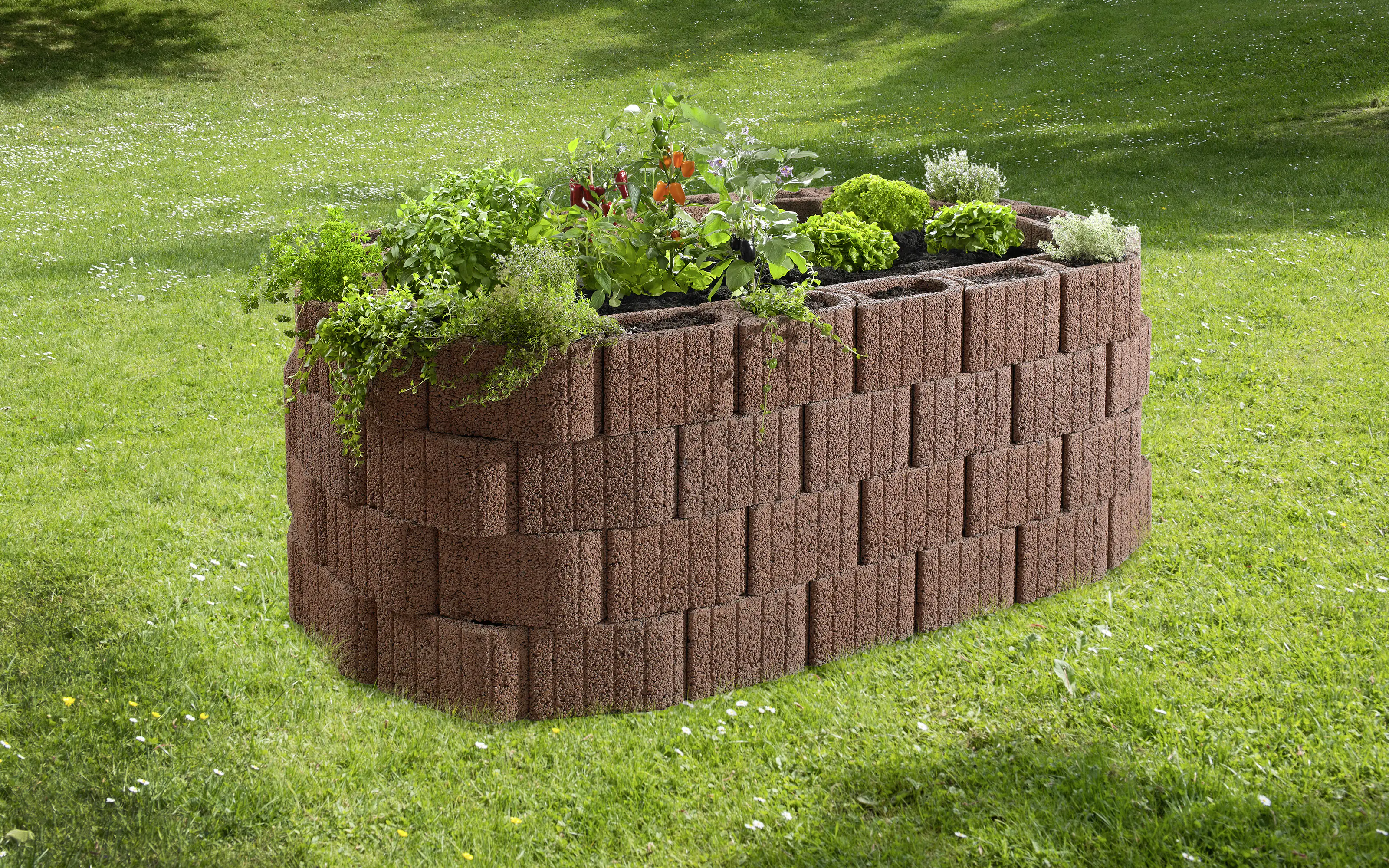 2077881026922 Kann Hochbeet-Set Pflanzstein Mini Plus 230 x 140 x 80 cm braun