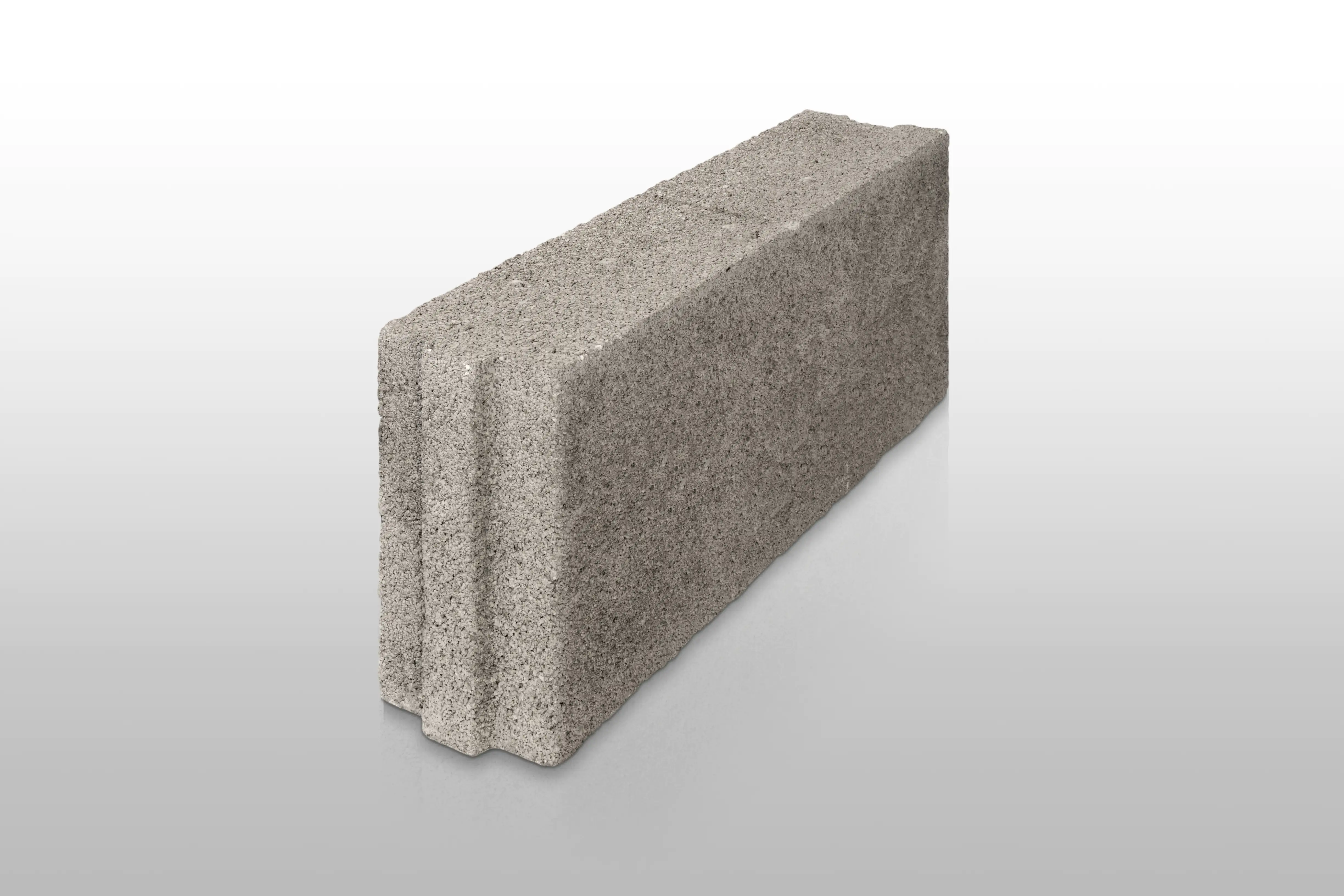 4010499312351 Bims Bauplatte HBL 2 8 DF Rohdichte 1,0 493 x 240 x 115 mm