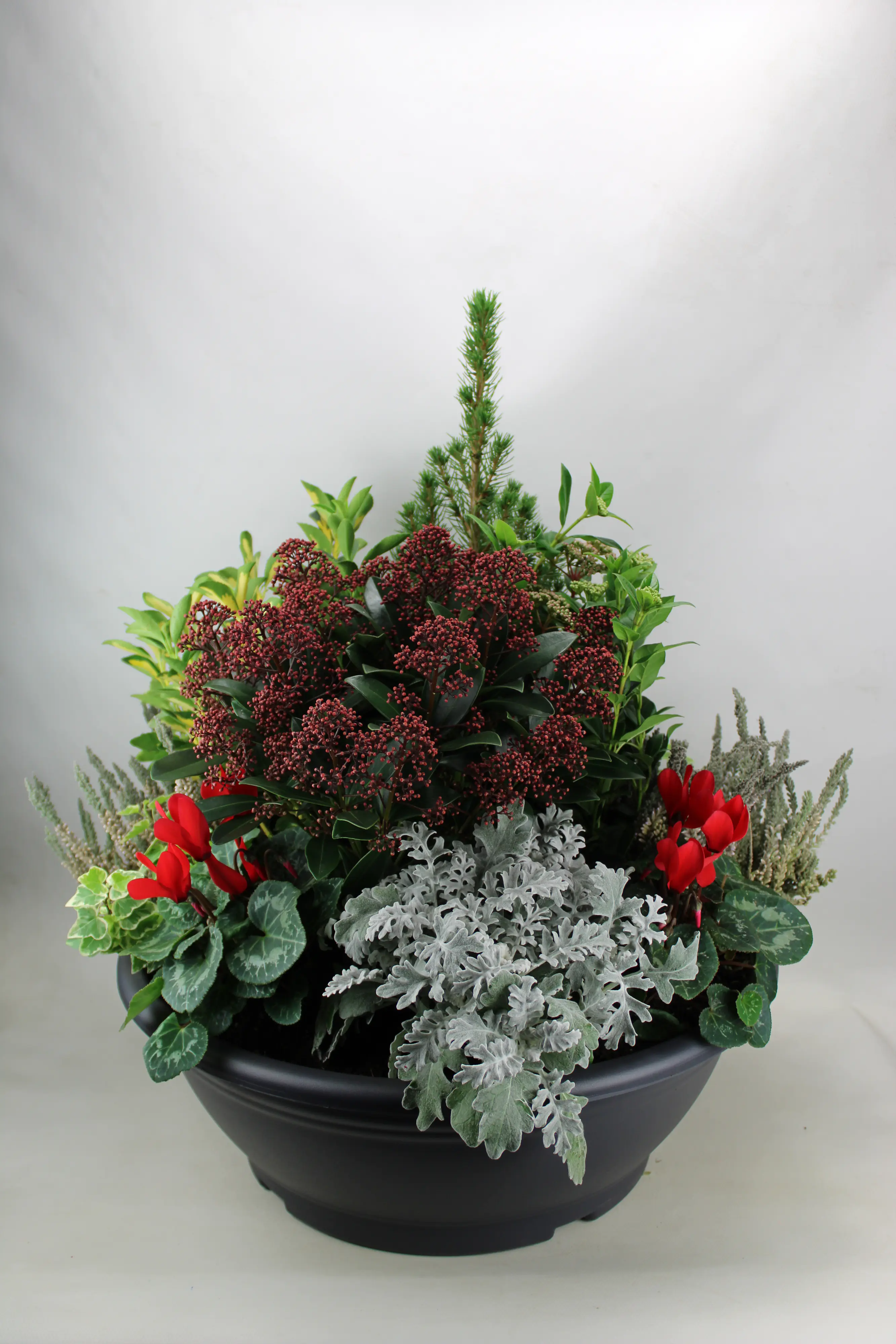 Arrangement Outdoor Nr. 6 