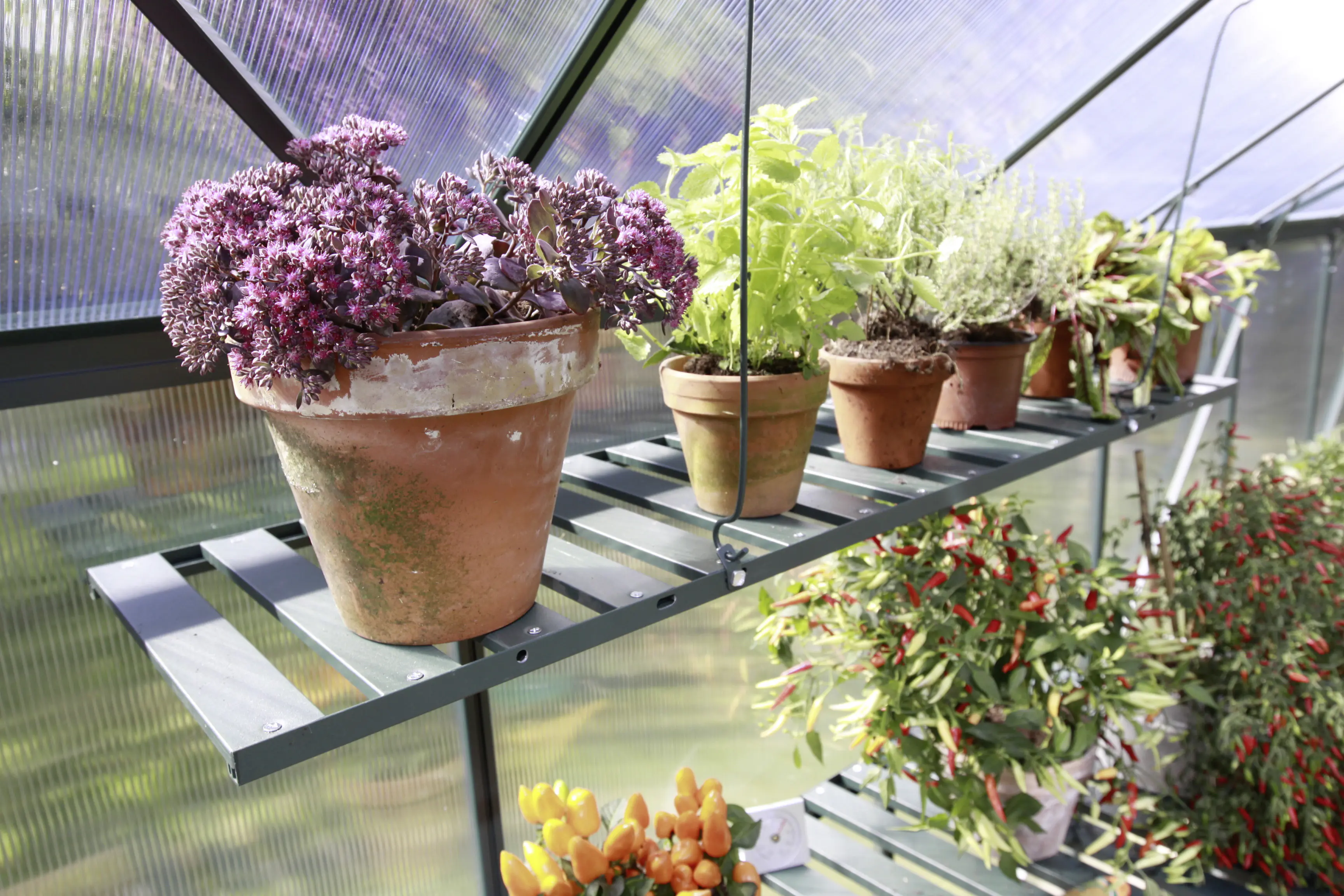 Vitavia Aluregal 120 x 31 cm smaragd