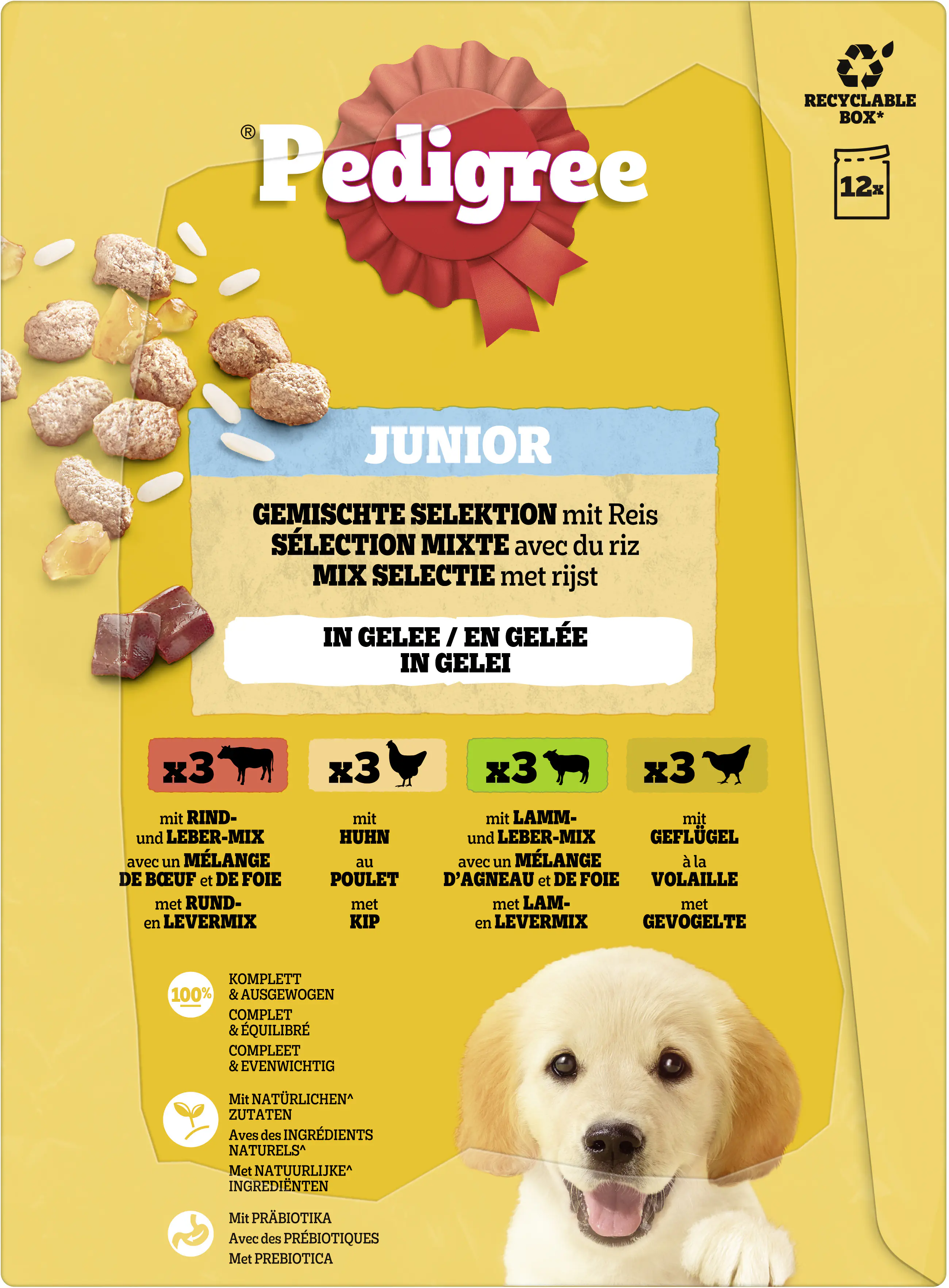 Pedigree Hundenassfutter Junior 12 x 100 g gemischte Selektion in Gelee