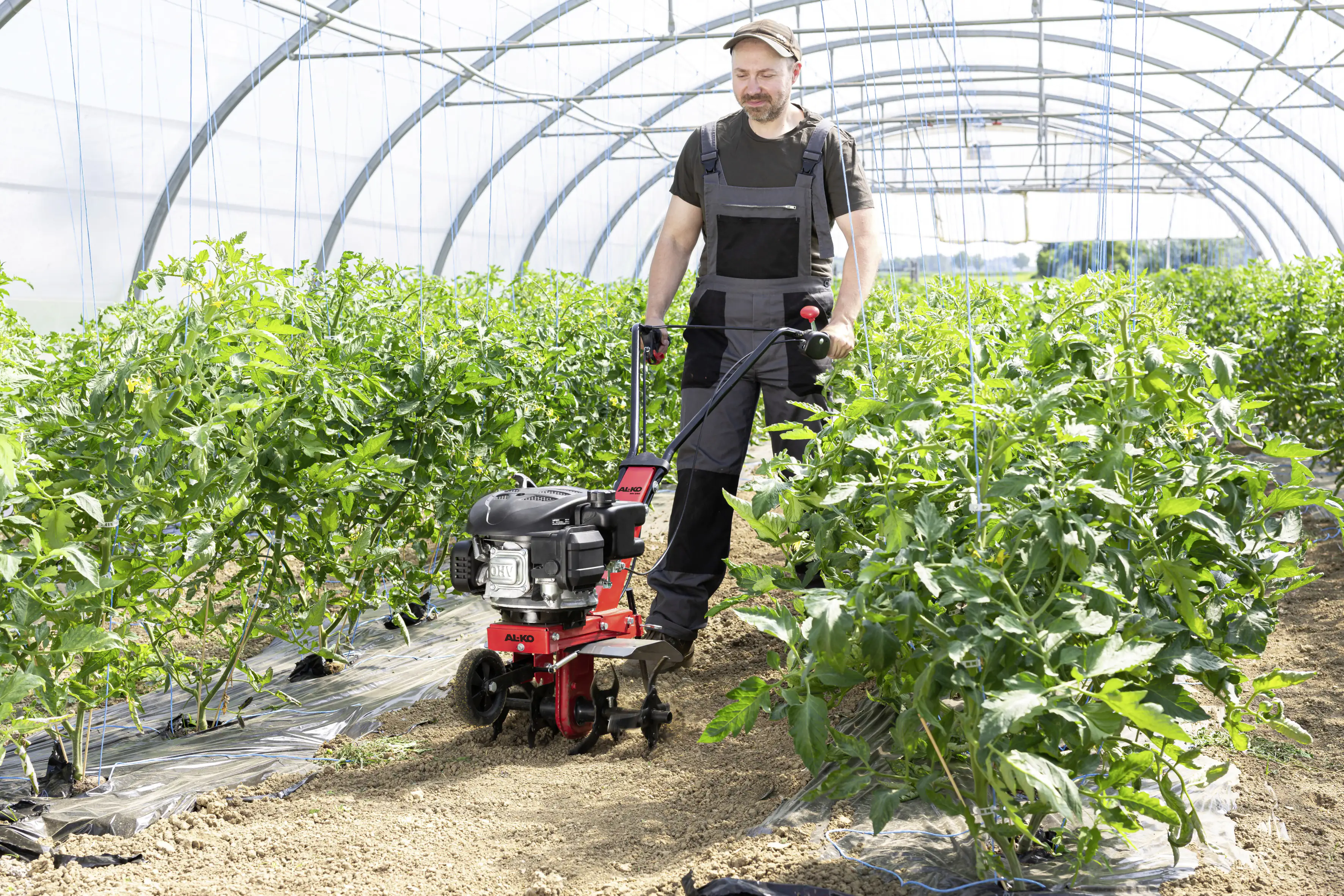 AL-KO Benzin-Motorhacke MH 360 Easy 2,2 kW, 36 cm Arbeitsbreite