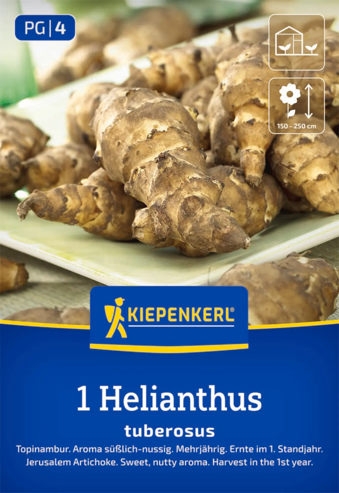 Kiepenkerl Pflanzgut Topinambur Helianthus tuberosus 1 Stück