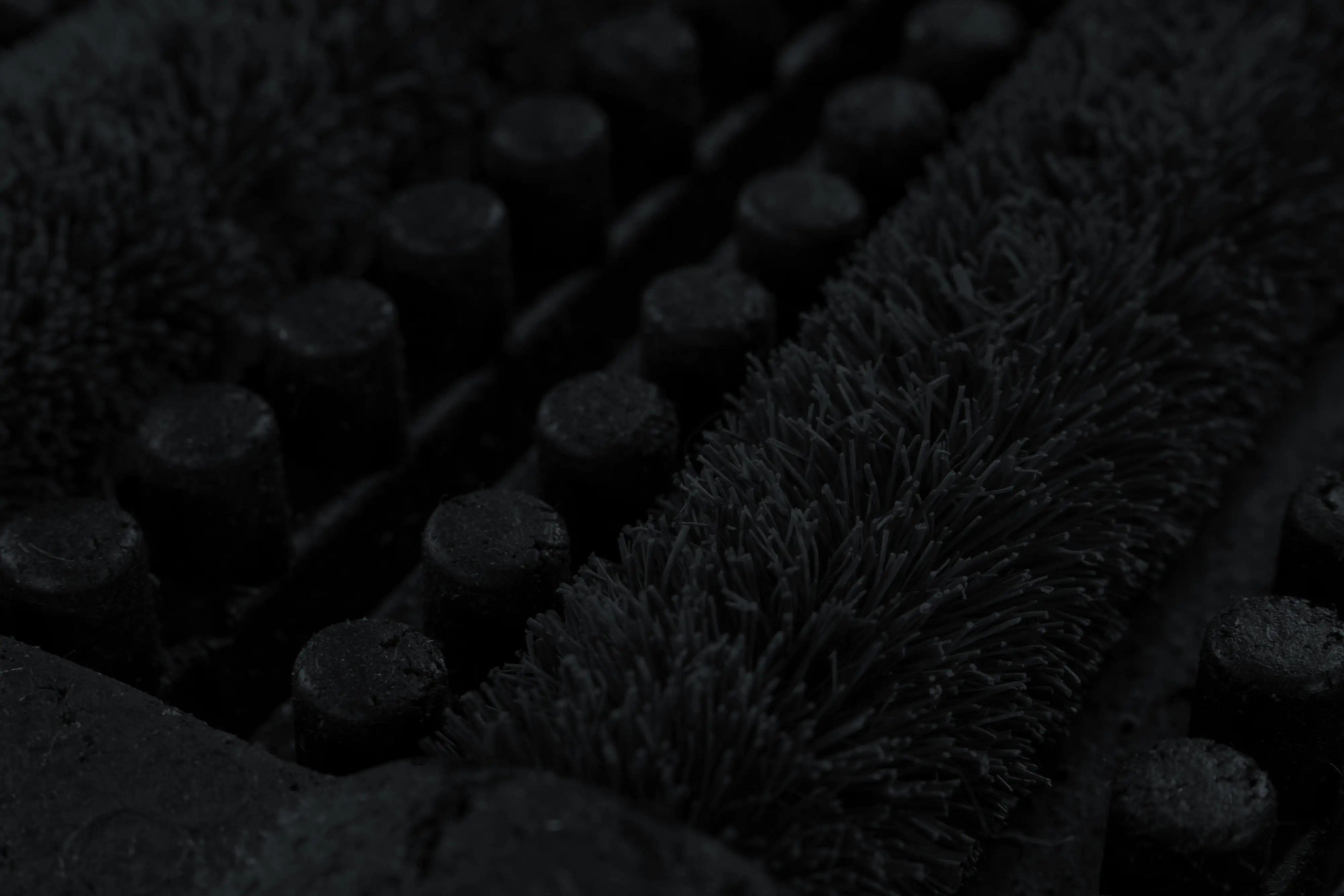 Fußmatte Robusta 40 x 60 cm schwarz