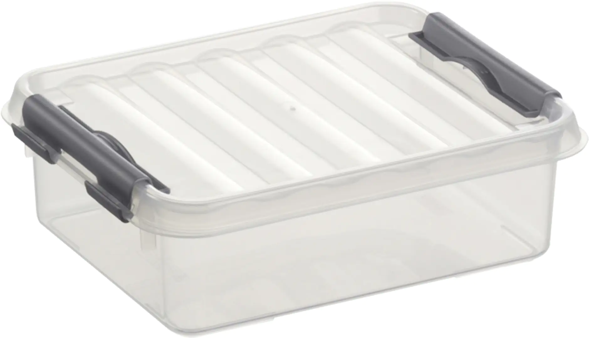 Sunware Aufbewahrungsbox 1L transparent 20 x 15 x 6 cm
