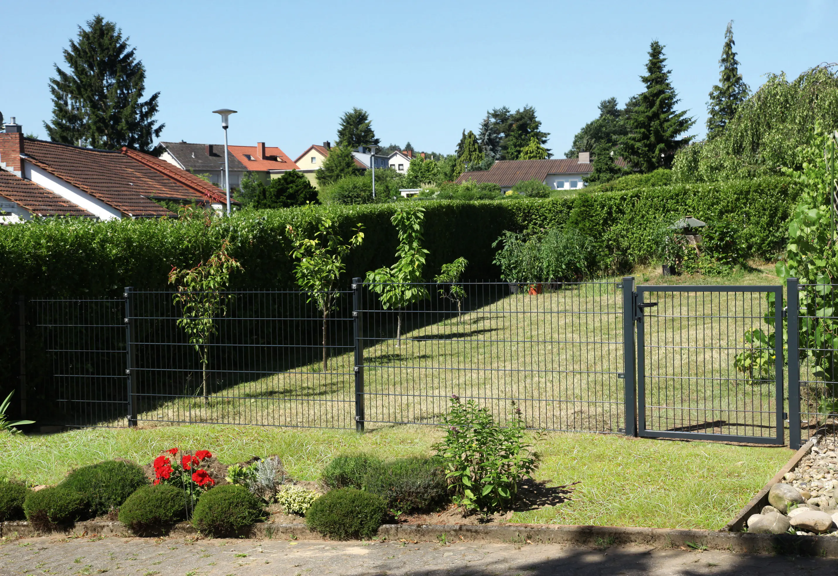 Alberts Doppelstab-Gittermatte 2 m 100 hoch cm Typ 6/5/6 anthrazit