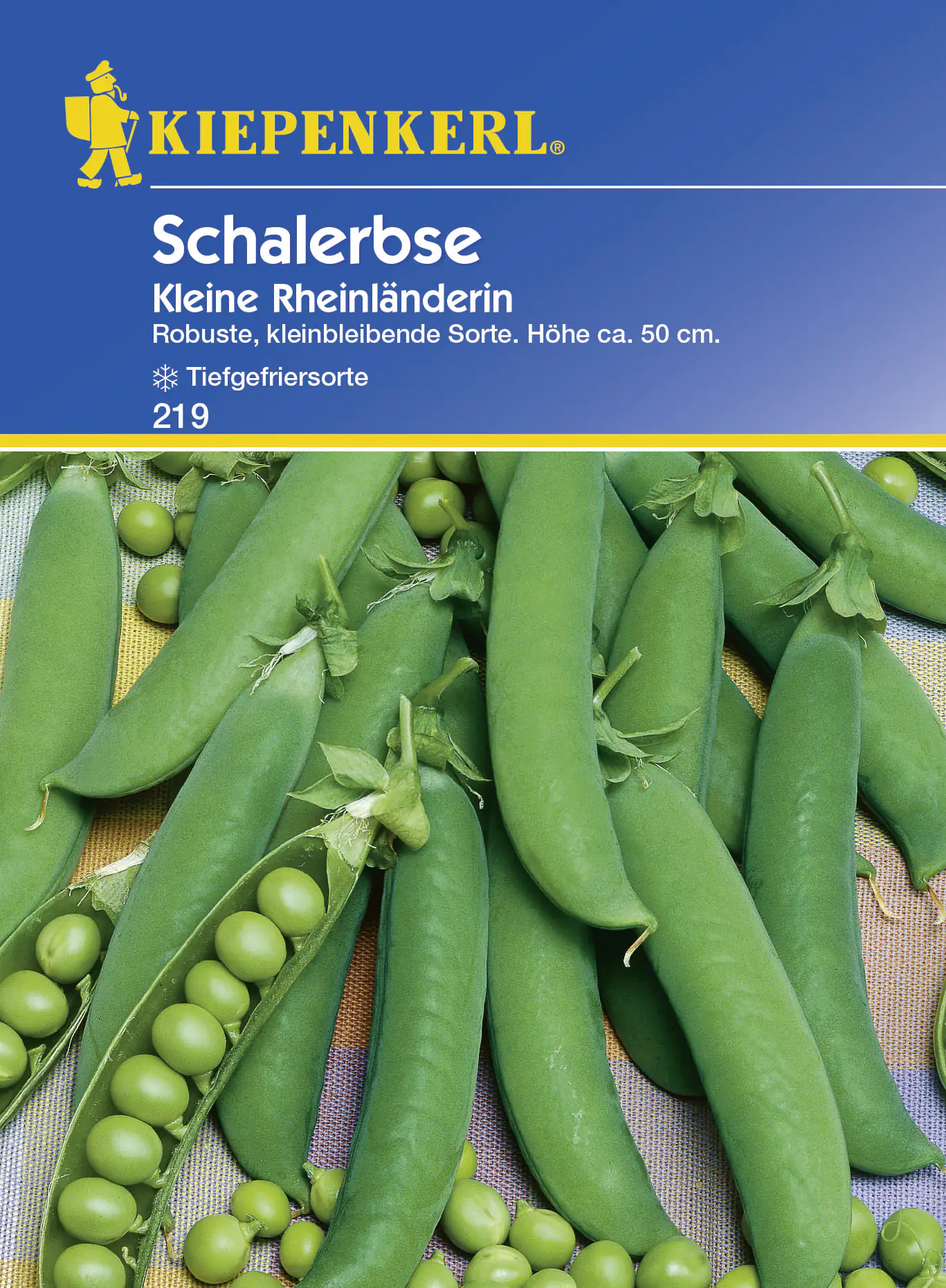 Kiepenkerl Schalerbse Kleine Rheinländerin ca. 10 lfd. Meter