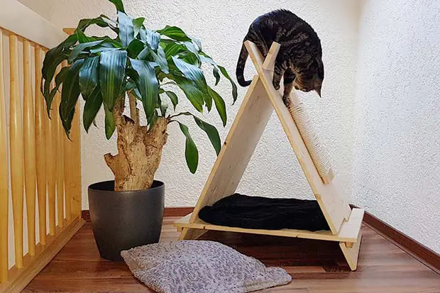 Katze klettert auf einem selbstgebauten Katzentipi aus Holz mit integriertem Kratzbrett und Liegefläche.