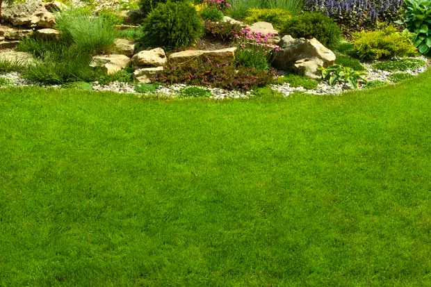 Rasen richtig anlegen