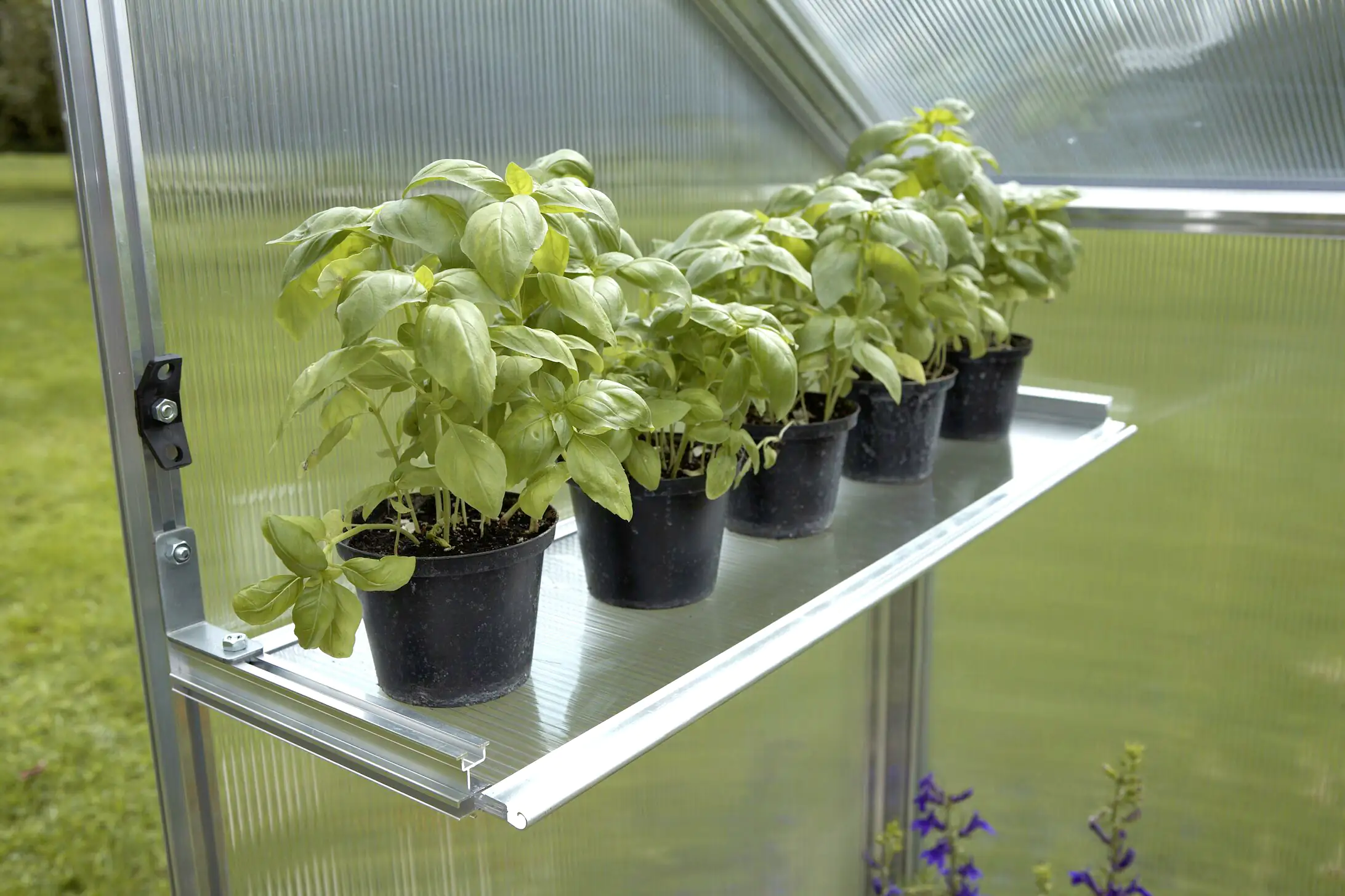 Gutta Alu-Hängebord passend für Gutta Gewächshaus Typ 2 bis Typ, 6 77 x 3 x 24 cm